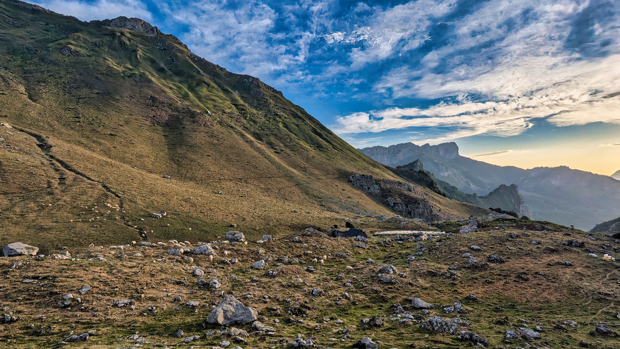 PXL 20240829 061353700