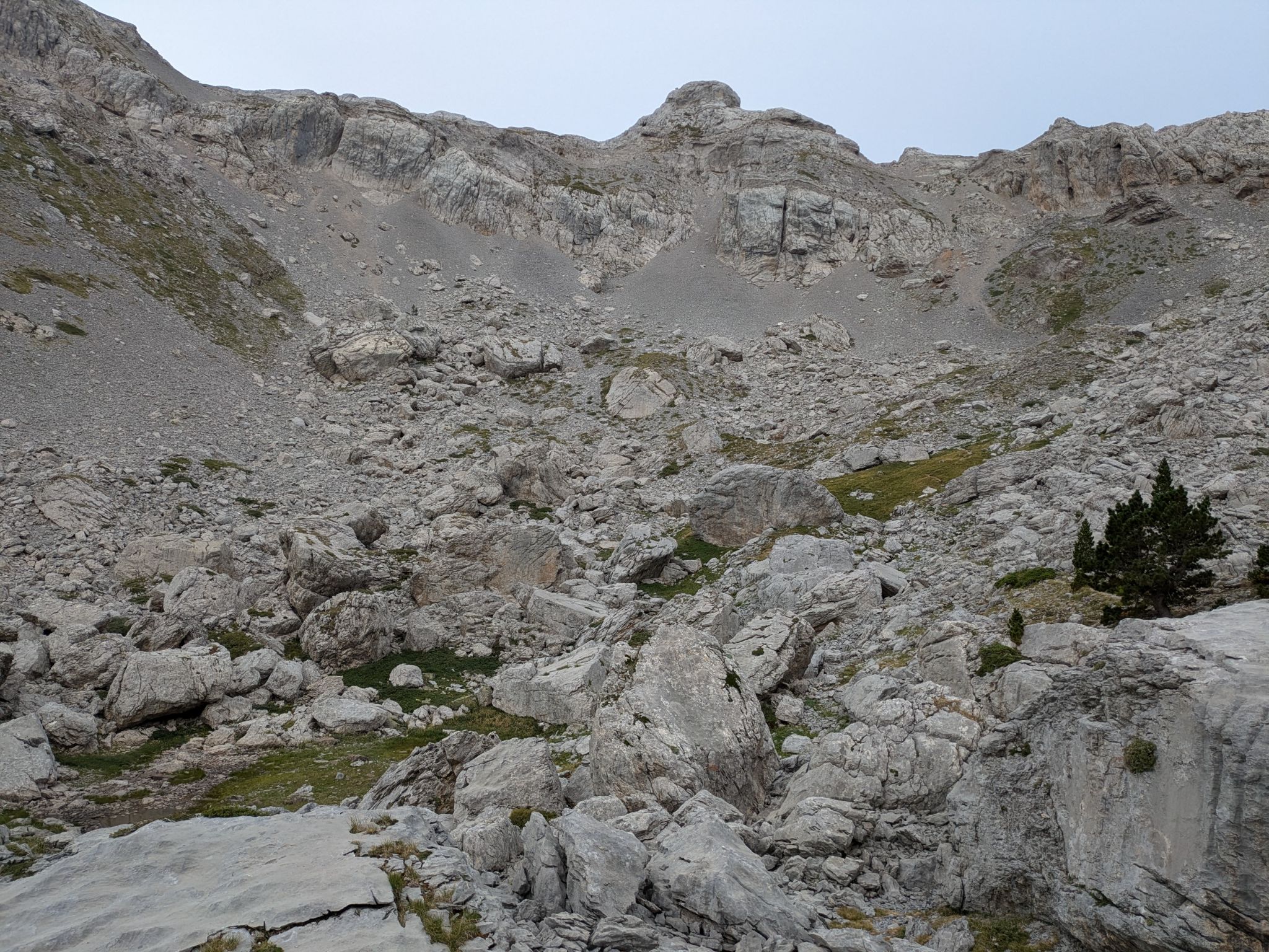 PXL 20240829 071639379