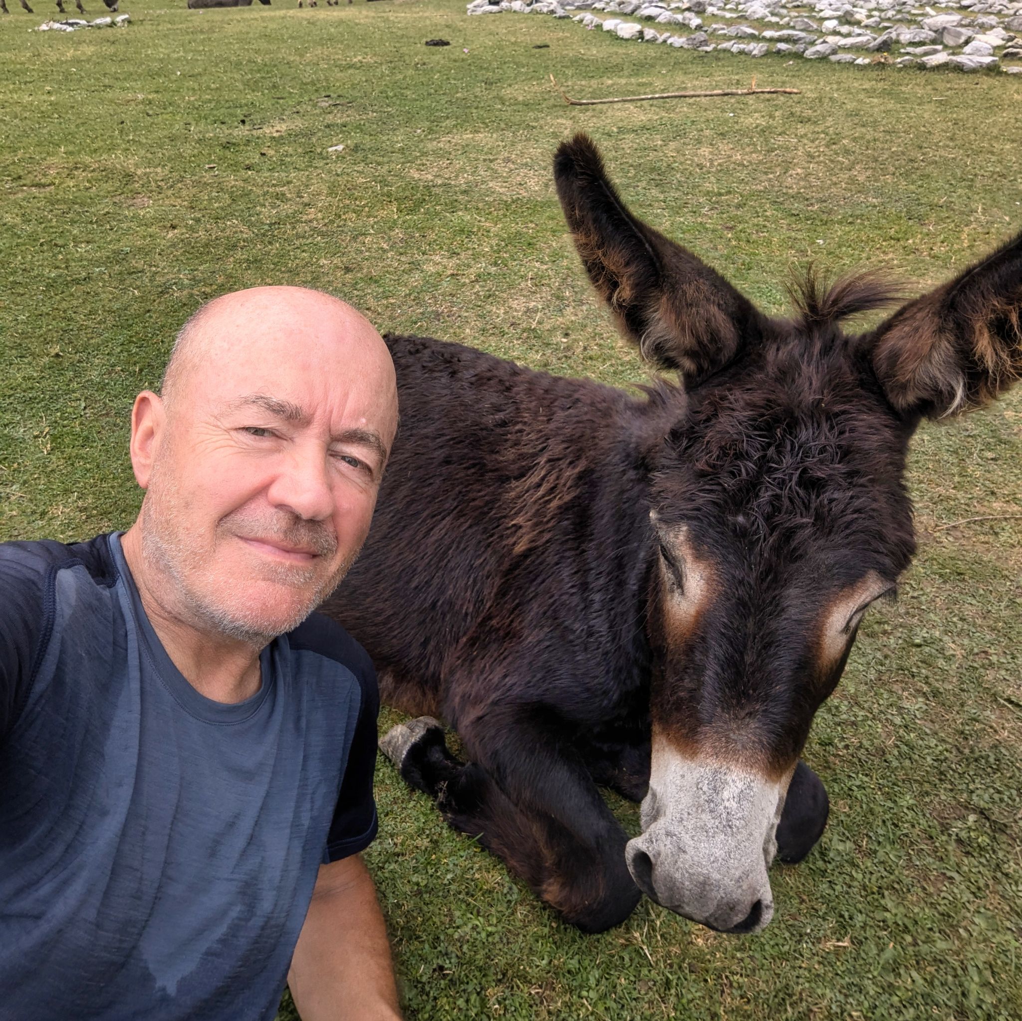 PXL 20240829 120605594