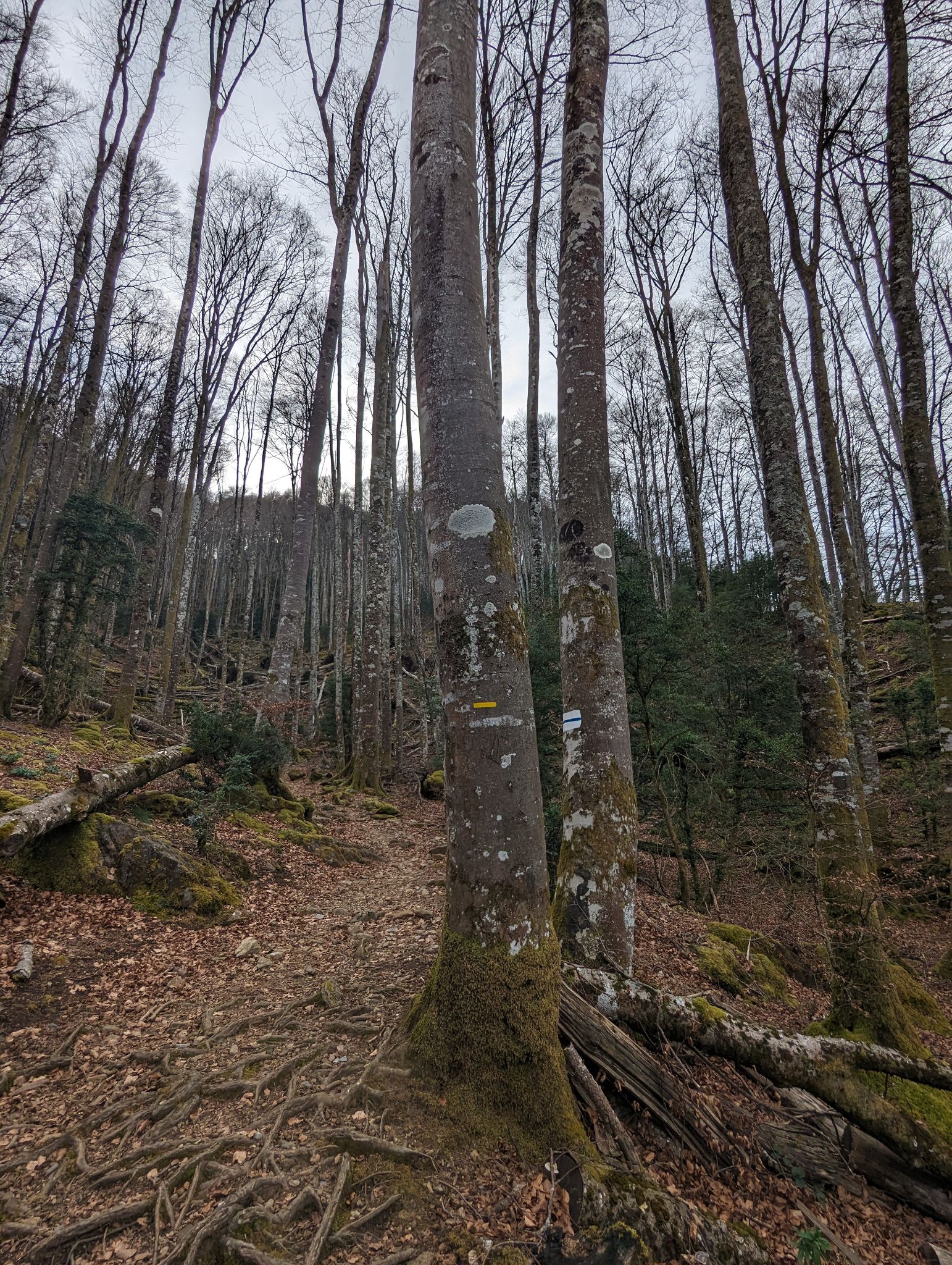 PXL 20240128 142242184