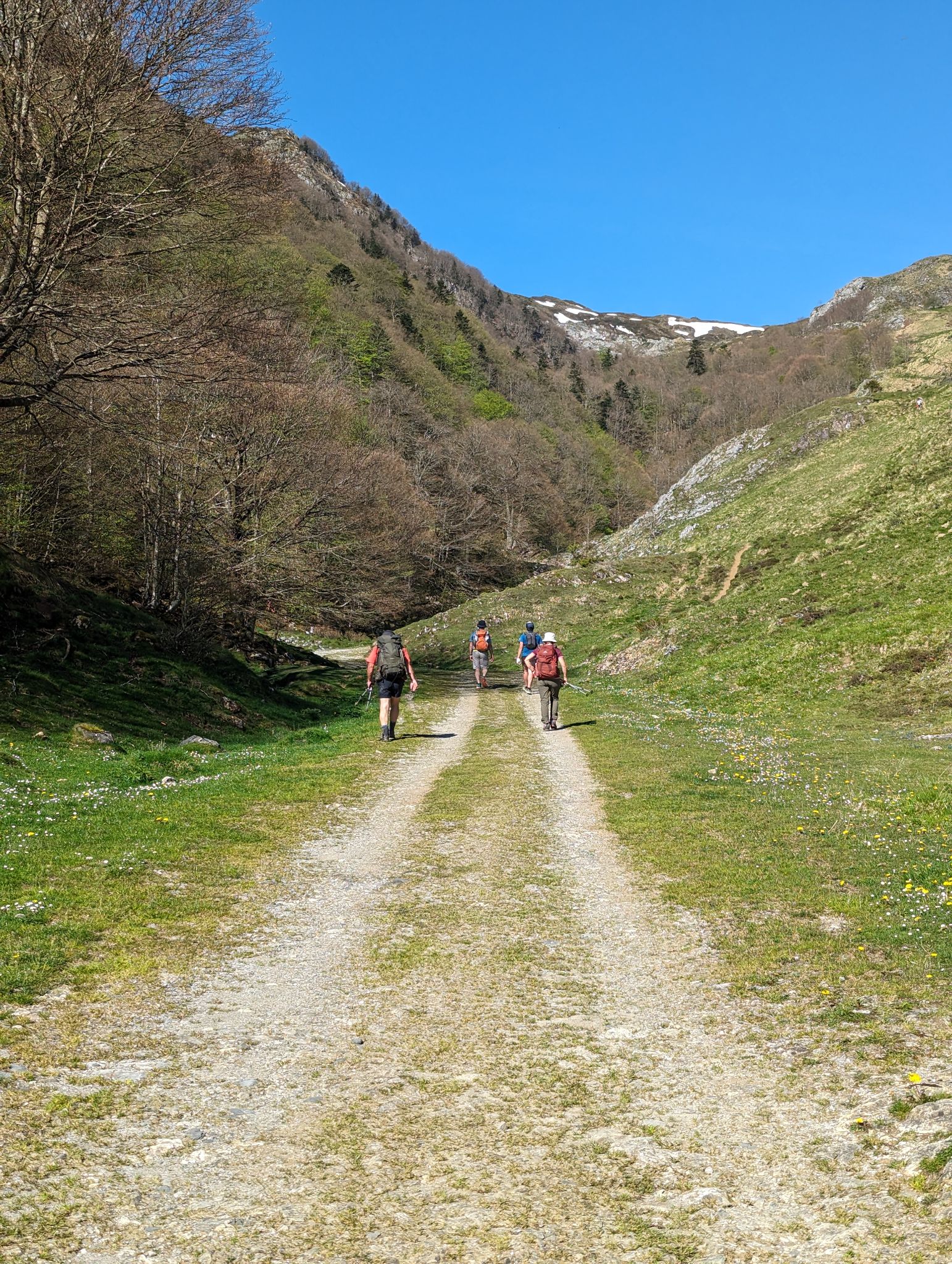 PXL 20240511 080157687