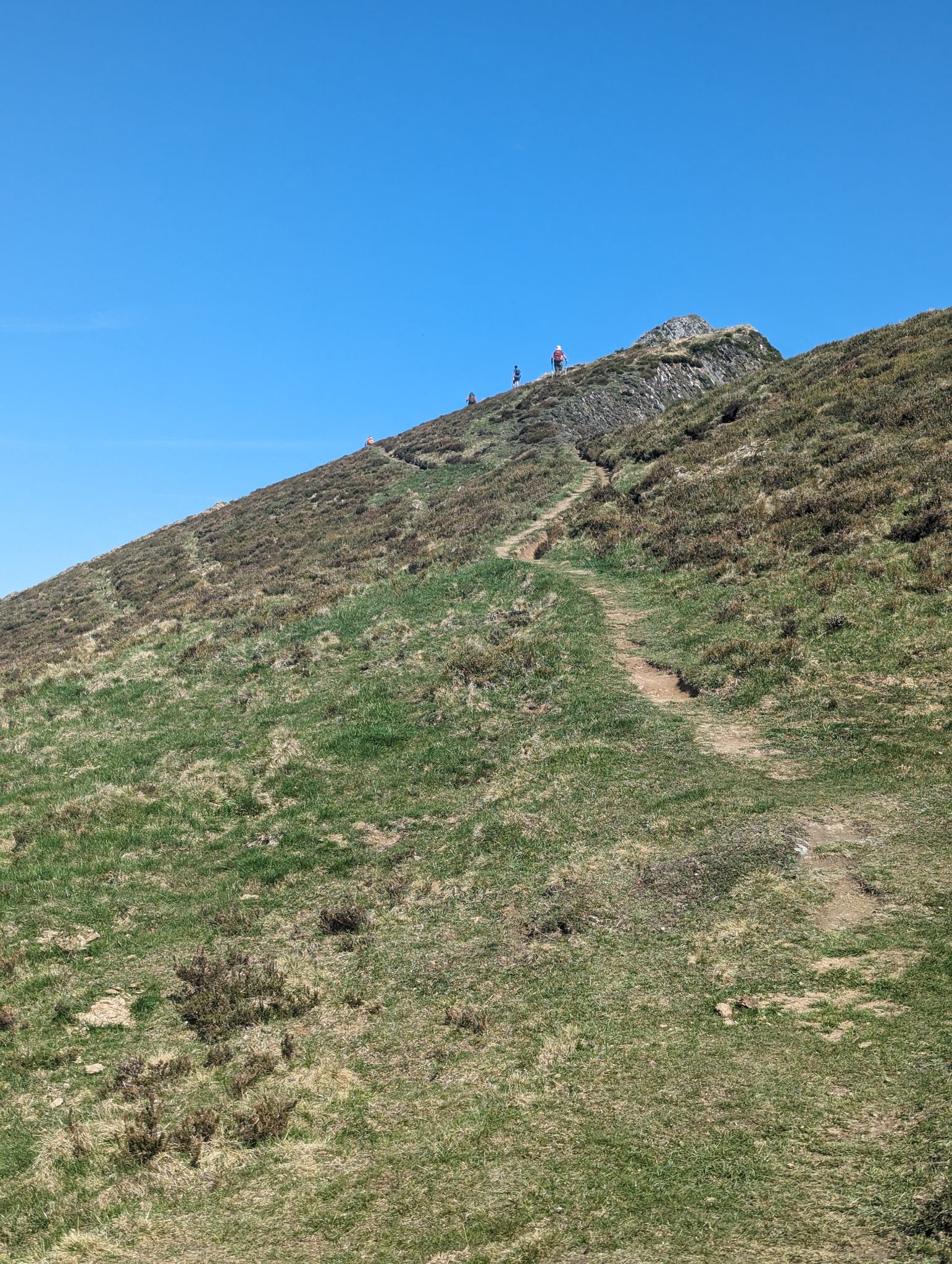 PXL 20240511 085308412