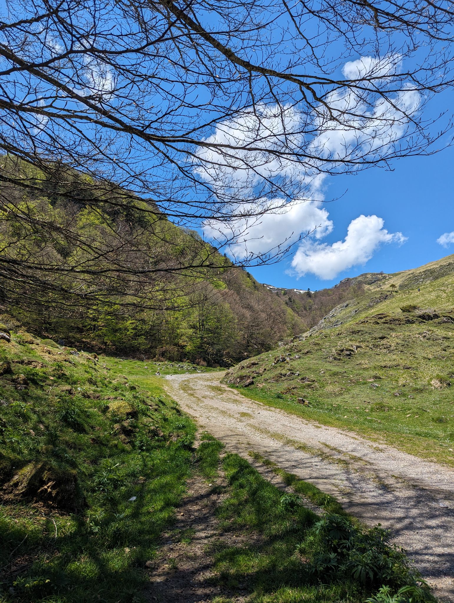 PXL 20240511 111429710