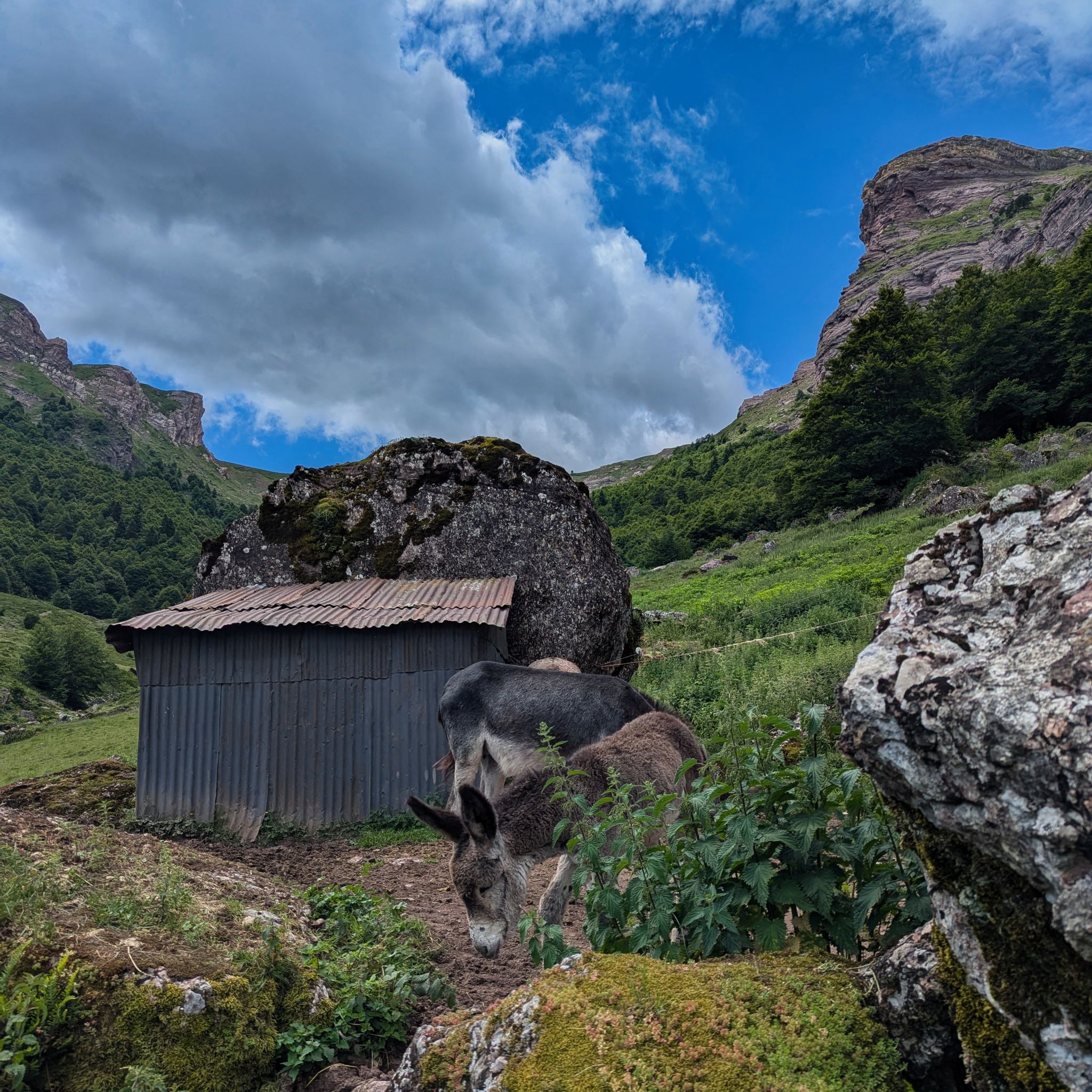 PXL 20240713 093208130