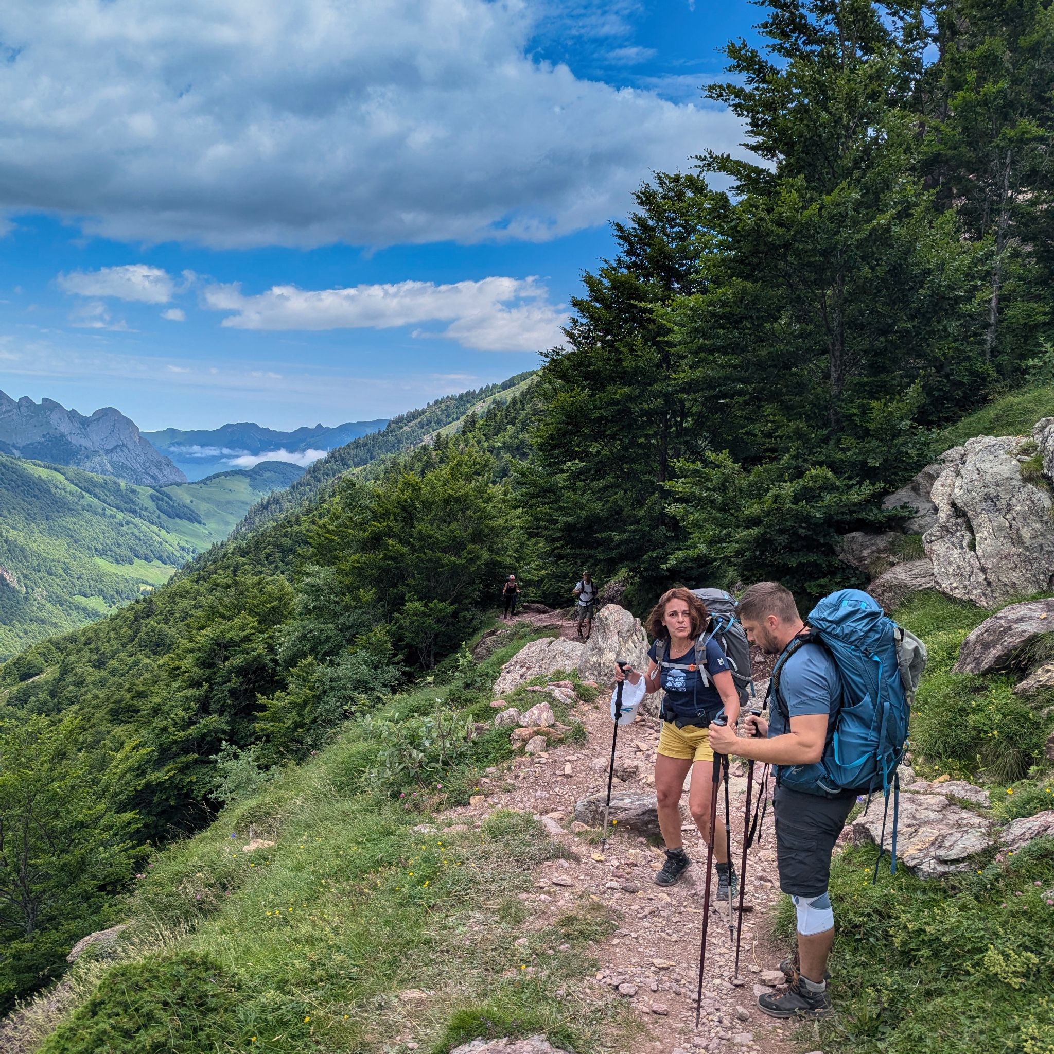 PXL 20240713 102654495