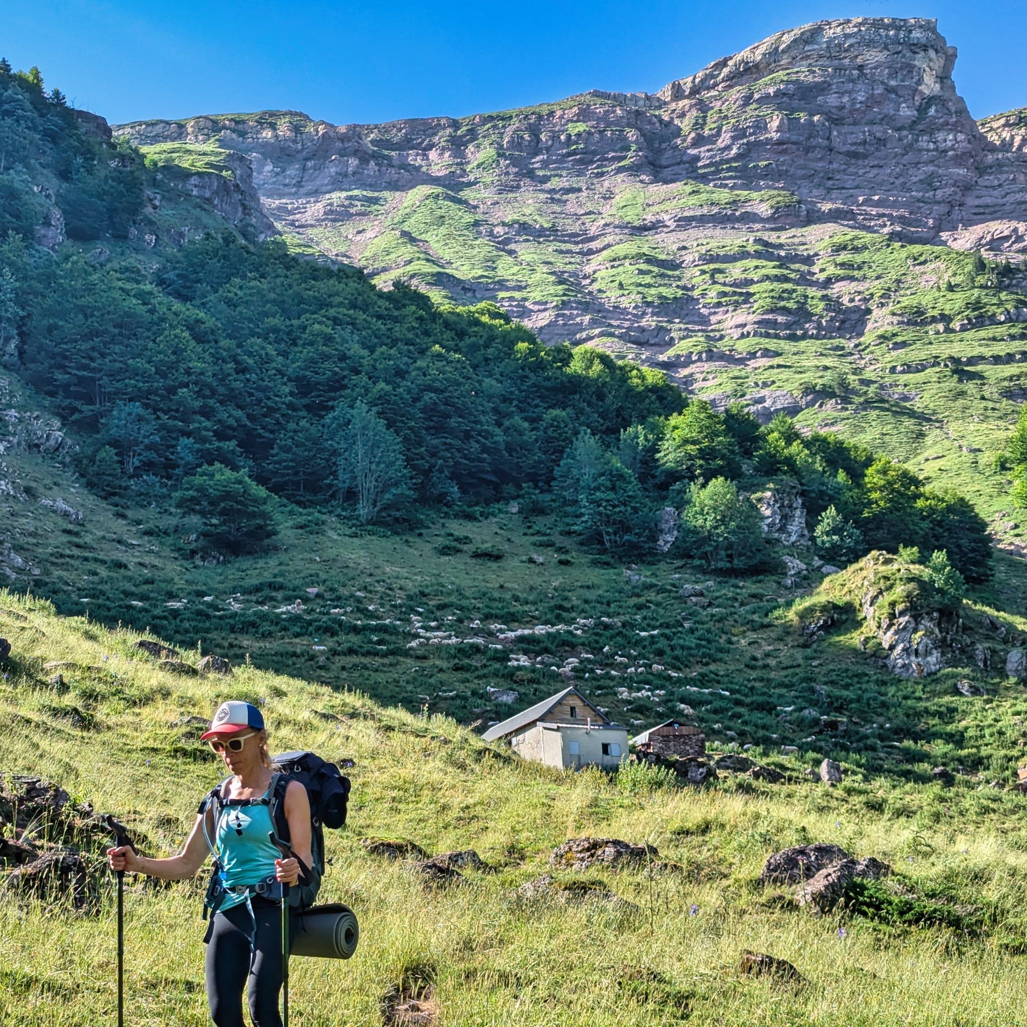 PXL 20240714 081634245