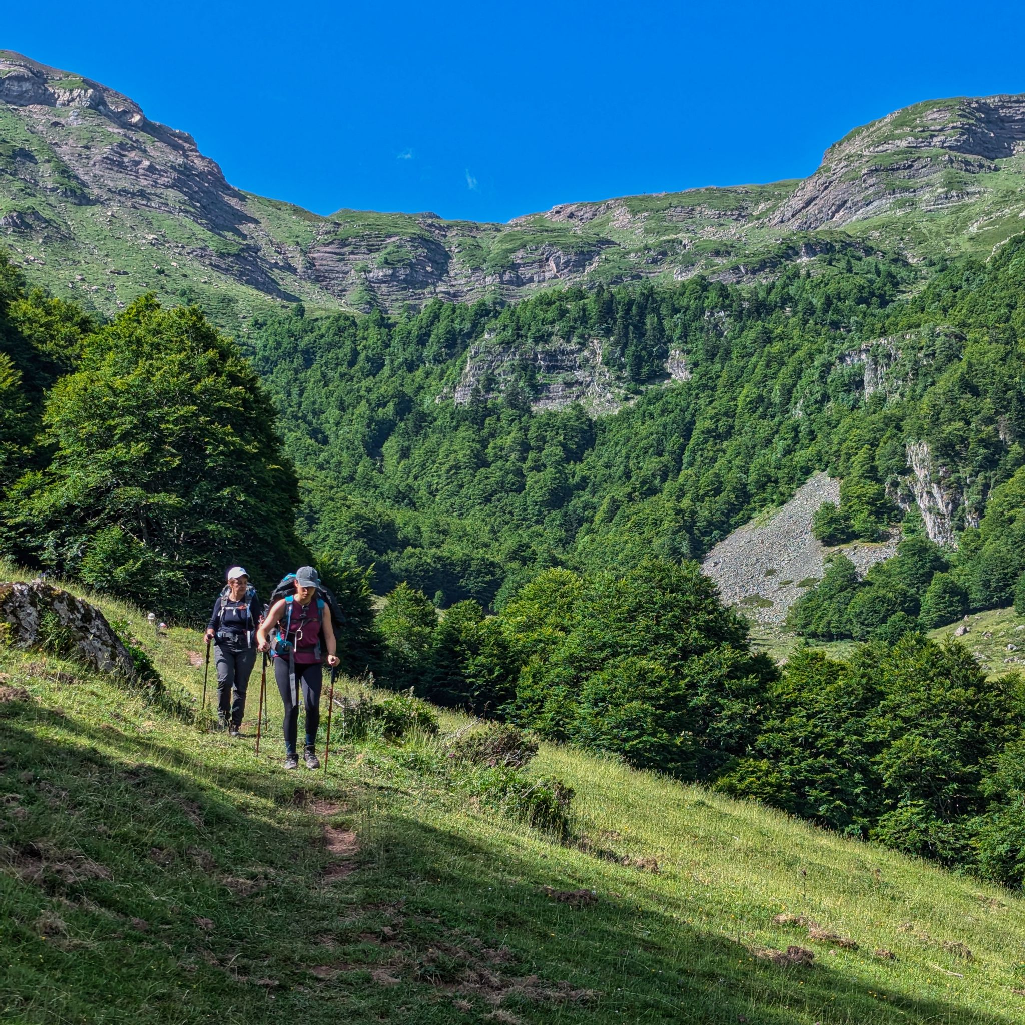 PXL 20240714 083548326