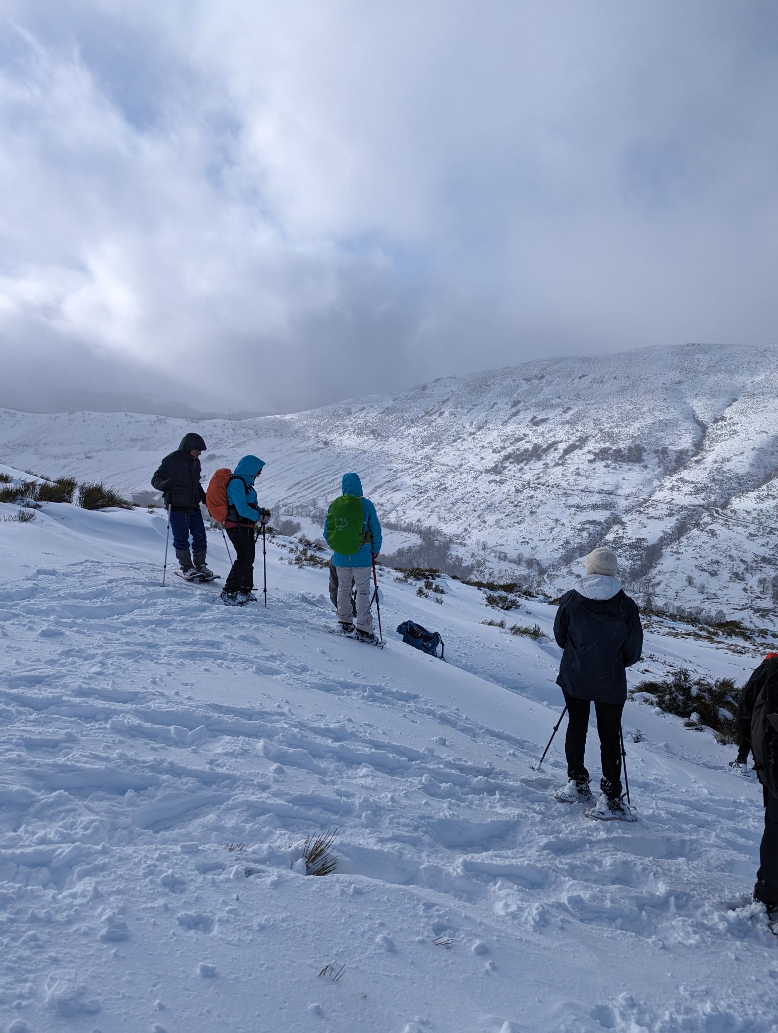 PXL 20240224 153322984