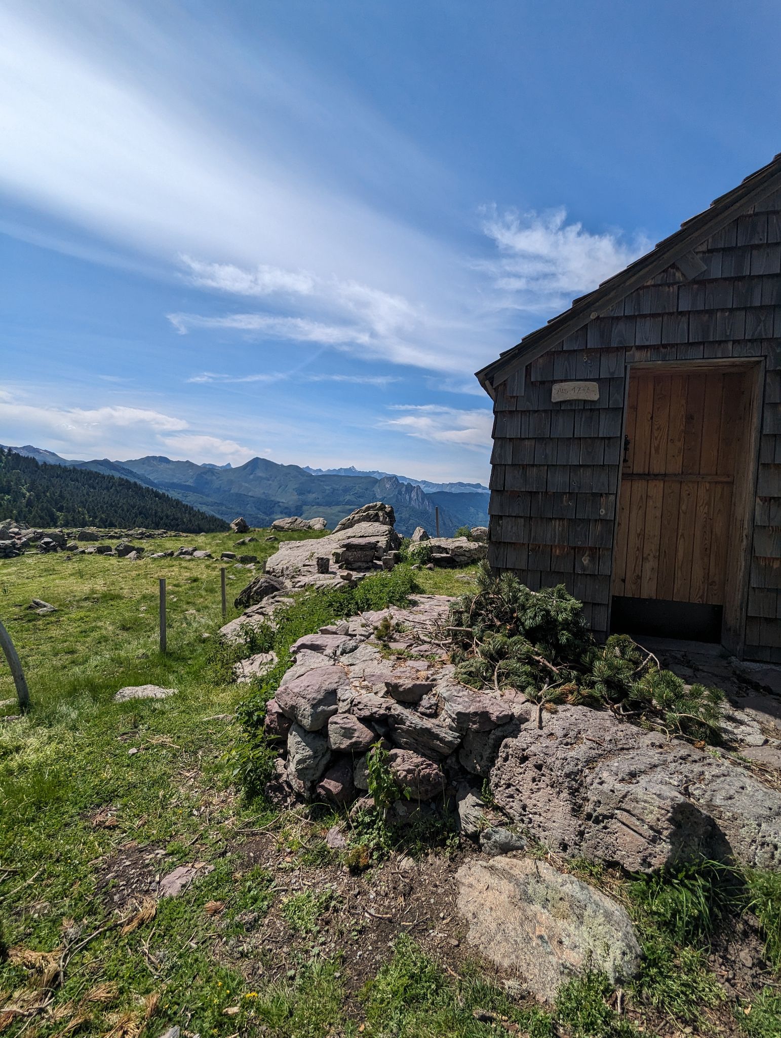 PXL 20240613 145609396