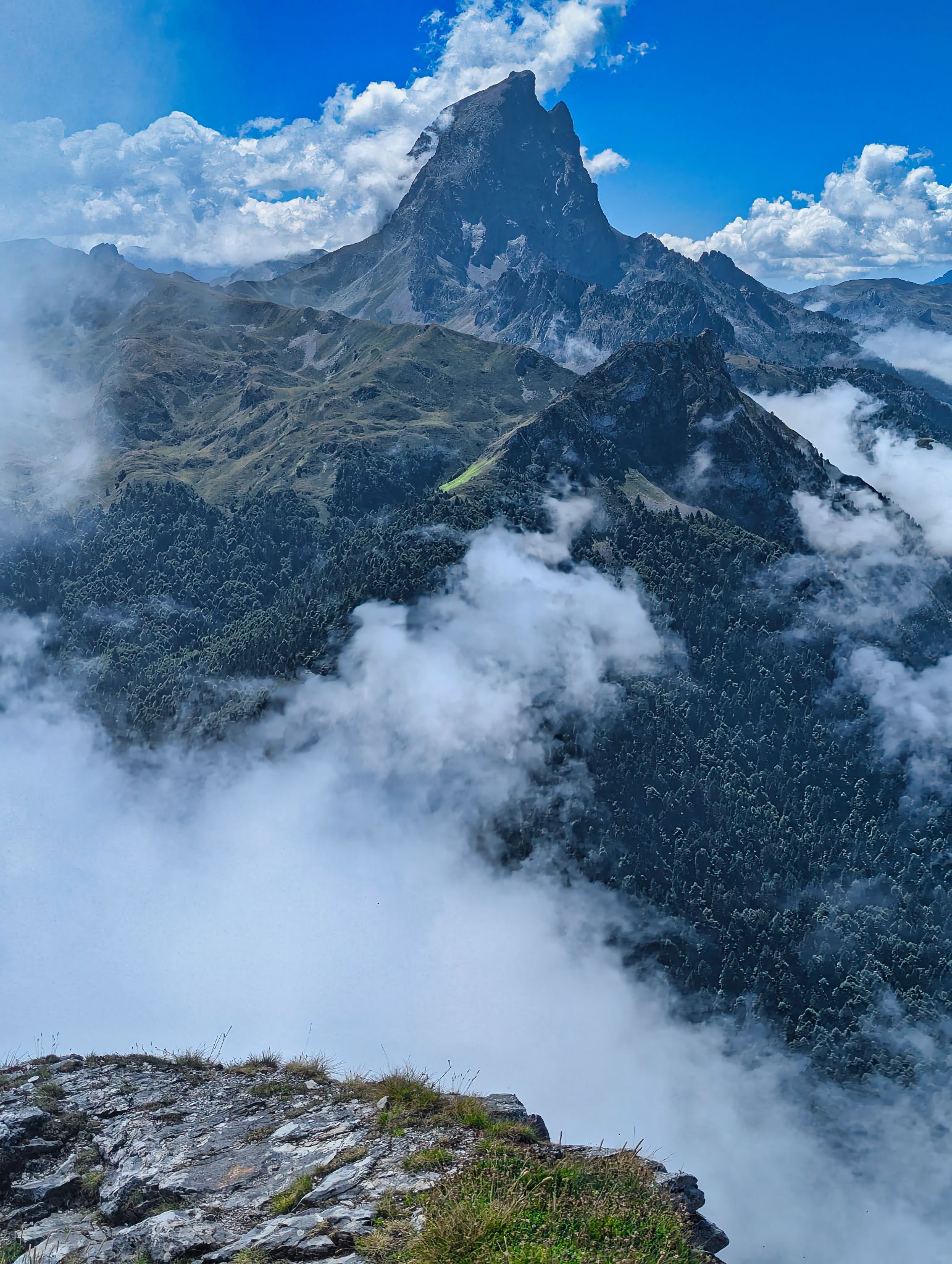 PXL 20240816 114428115