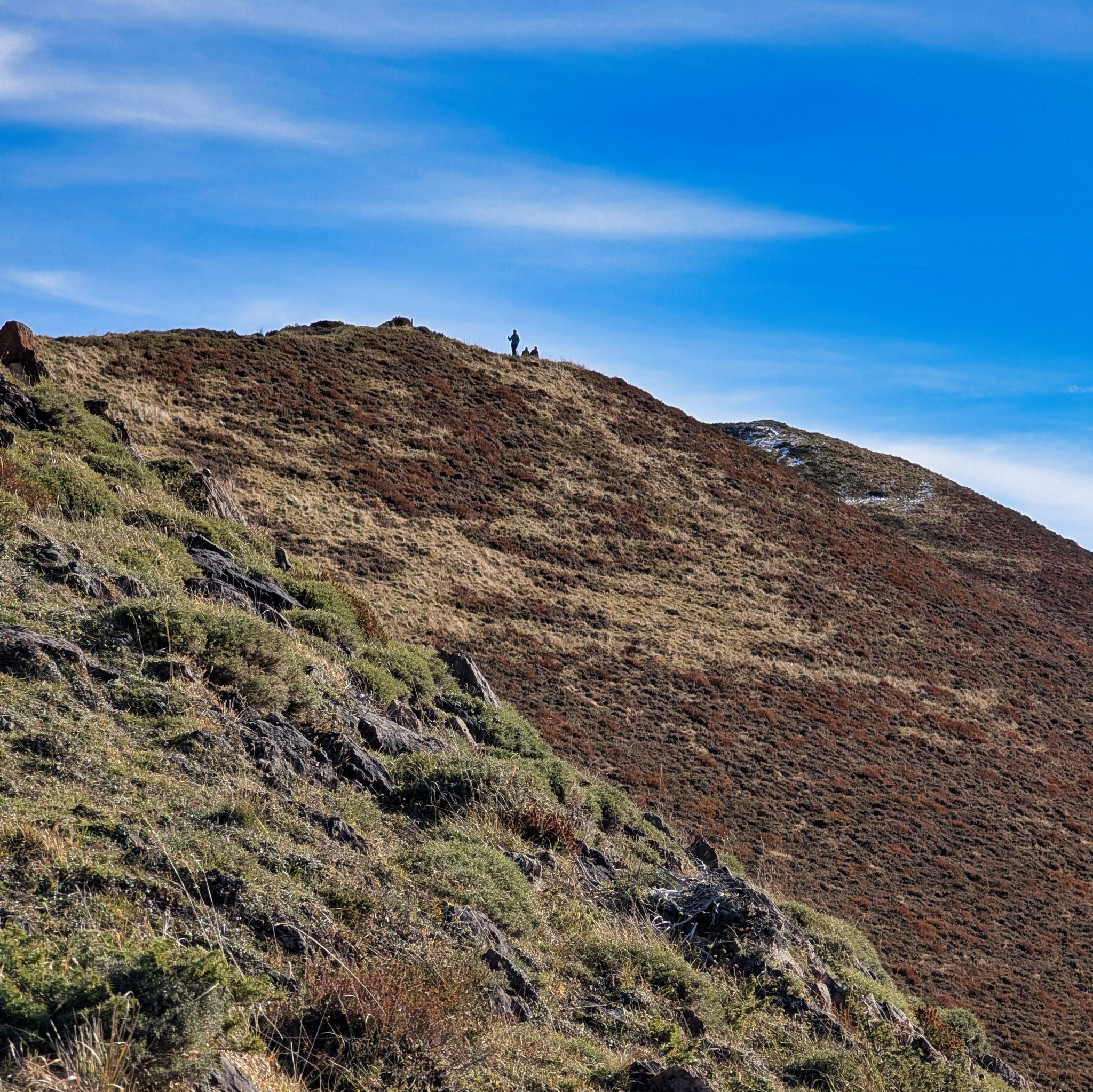 PXL 20251111 094629882