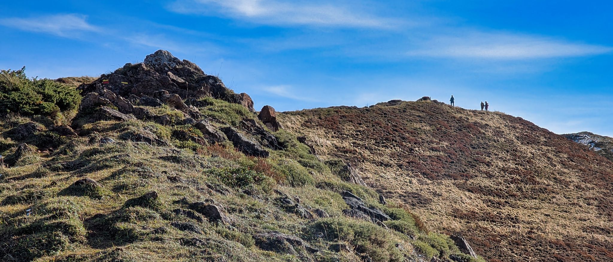 PXL 20251111 094636107