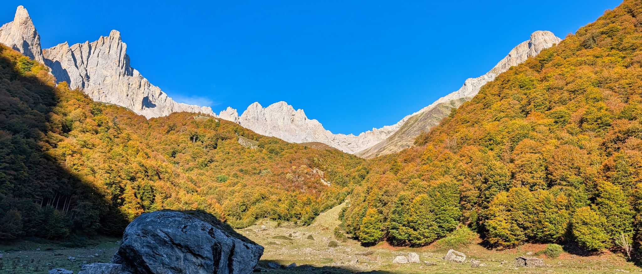 PXL 20251006 081351436