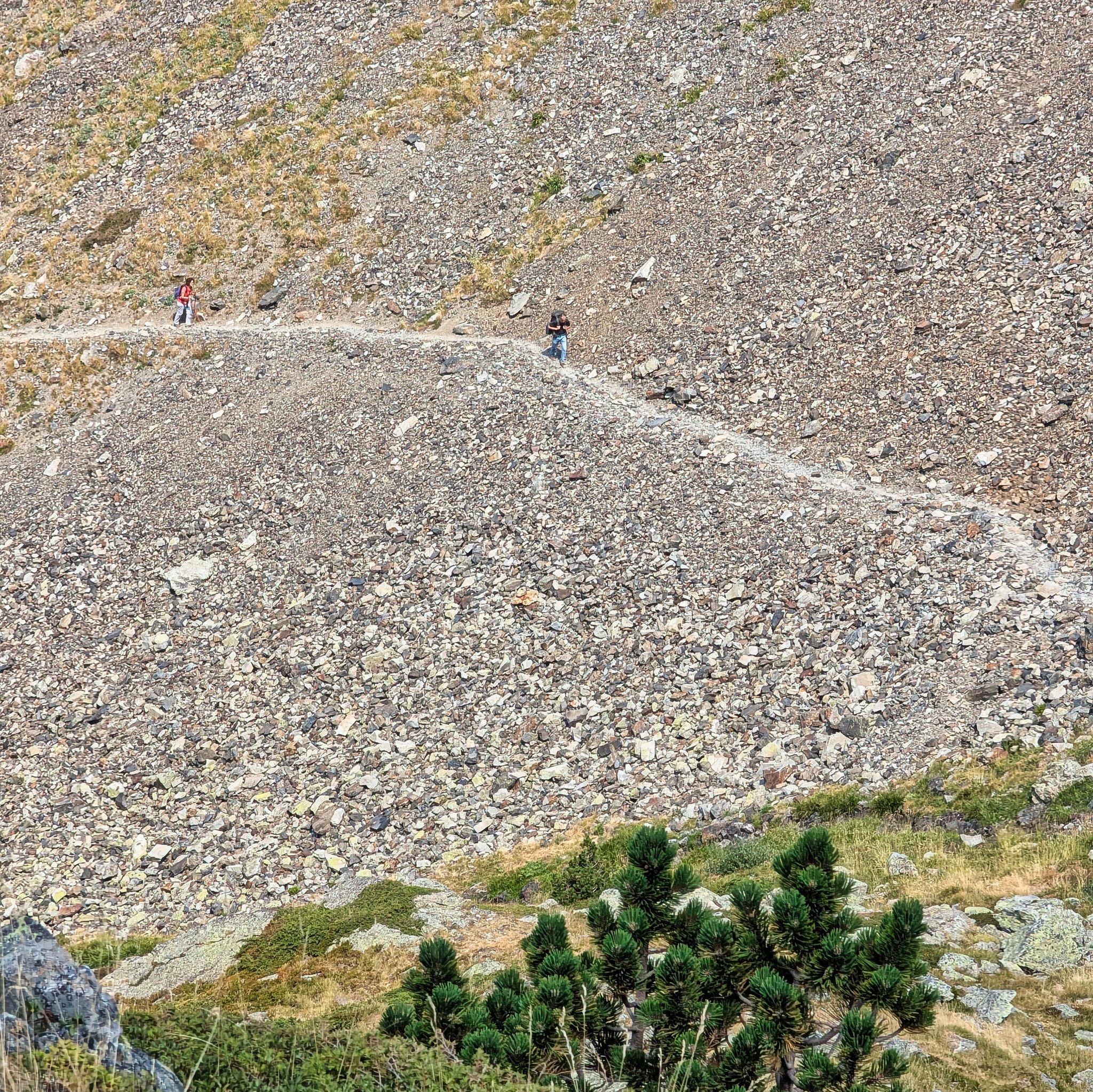 PXL 20250814 104651211