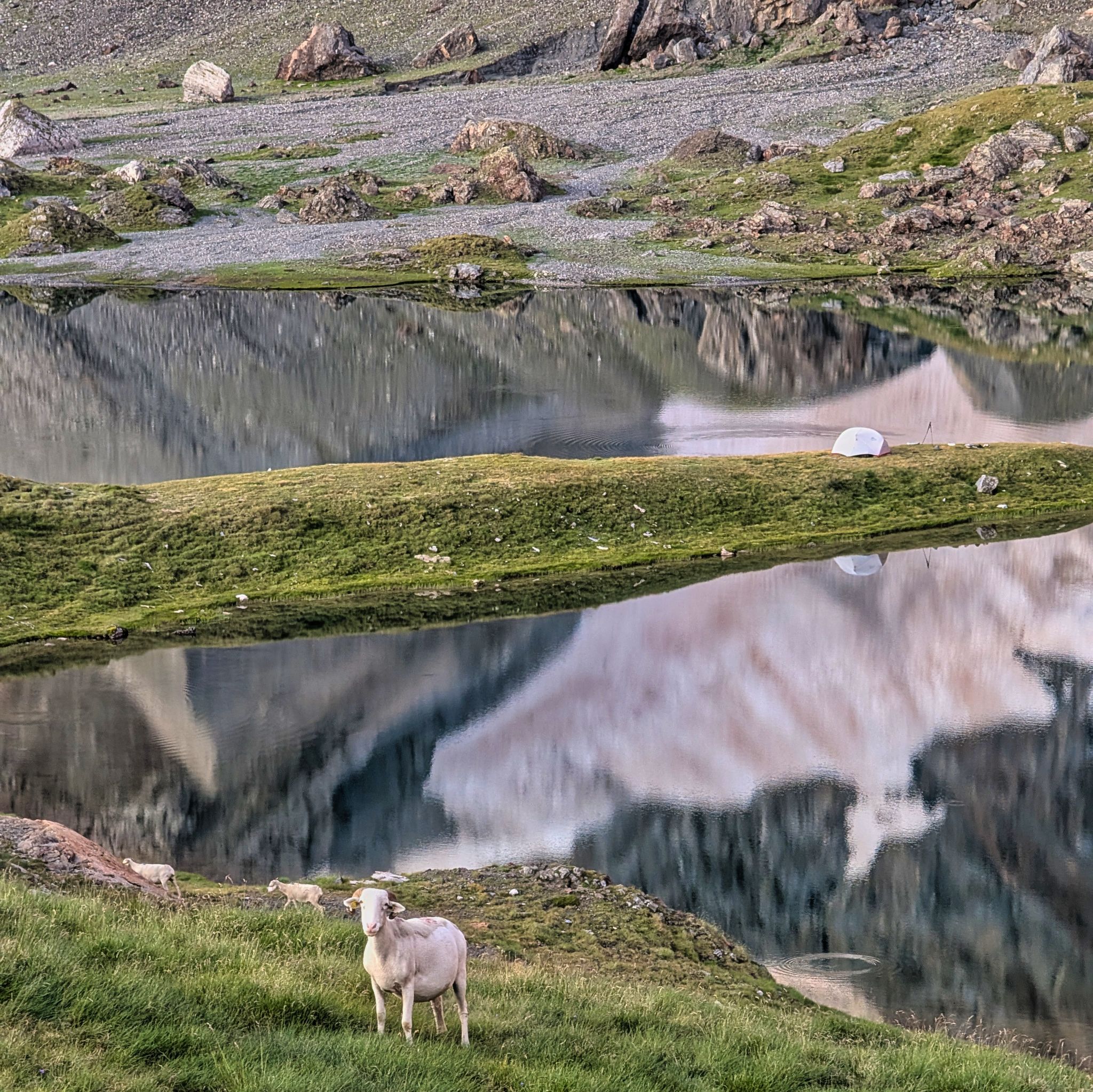 PXL 20250803 050359775