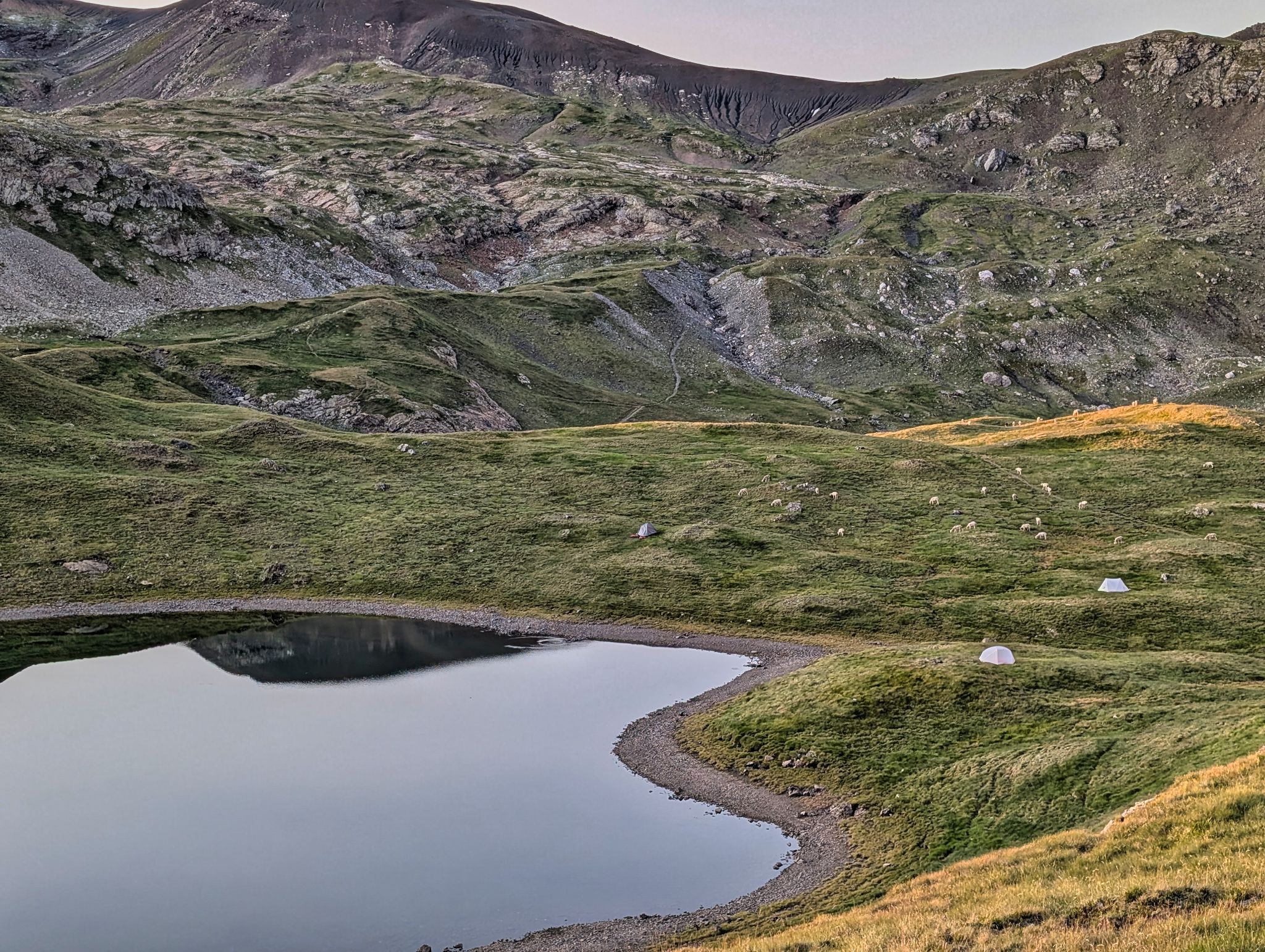 PXL 20250803 050837849