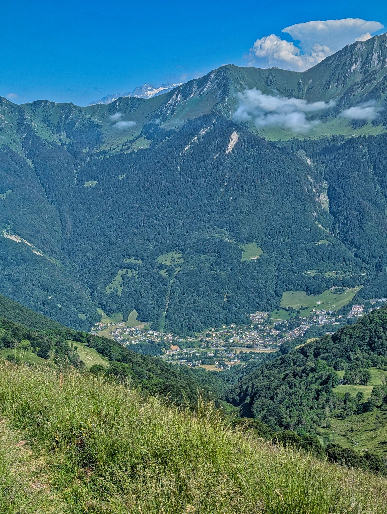 PXL 20250616 153410456