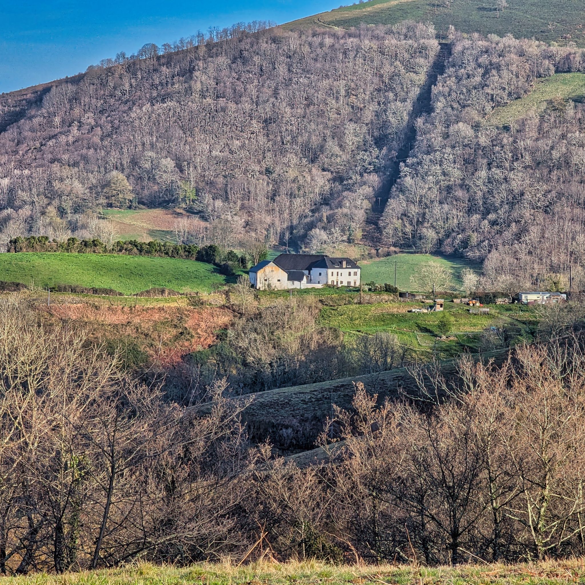 PXL 20250330 073443209