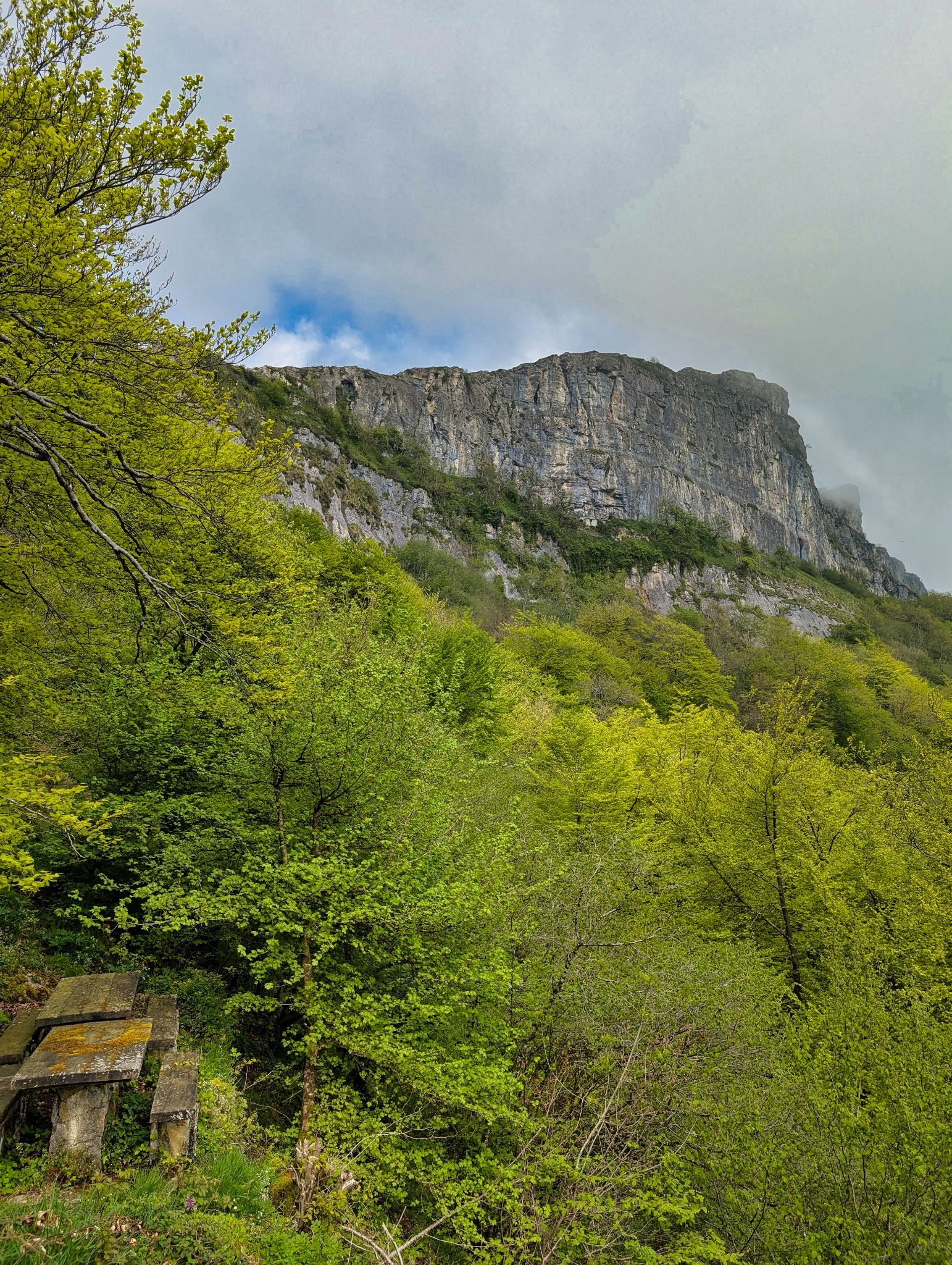 PXL 20250508 092737269