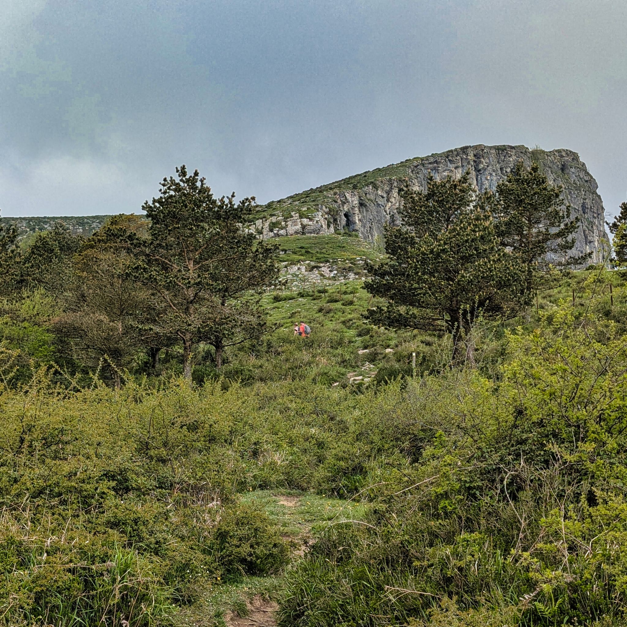 PXL 20250508 093455503