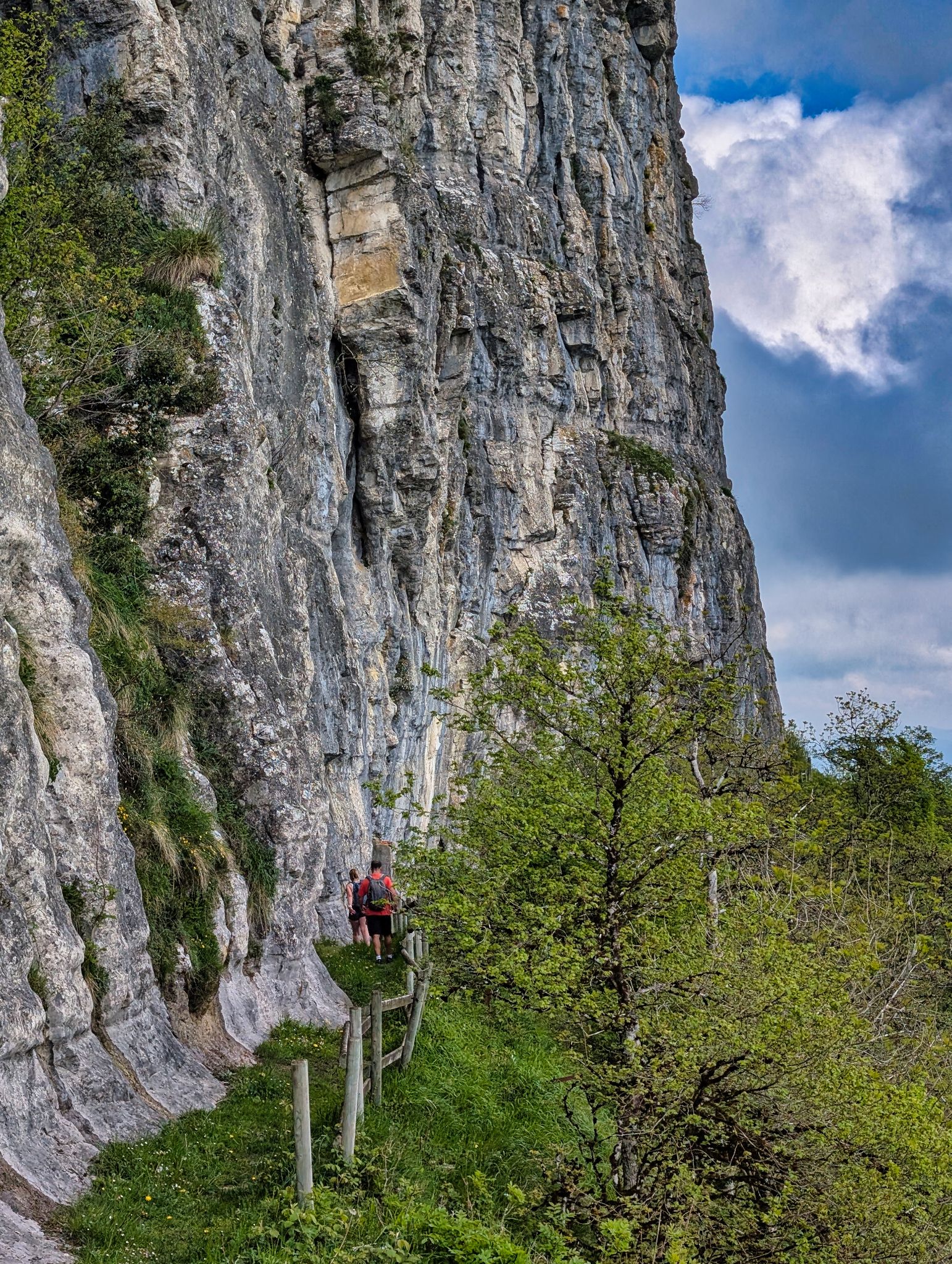 PXL 20250508 094035481