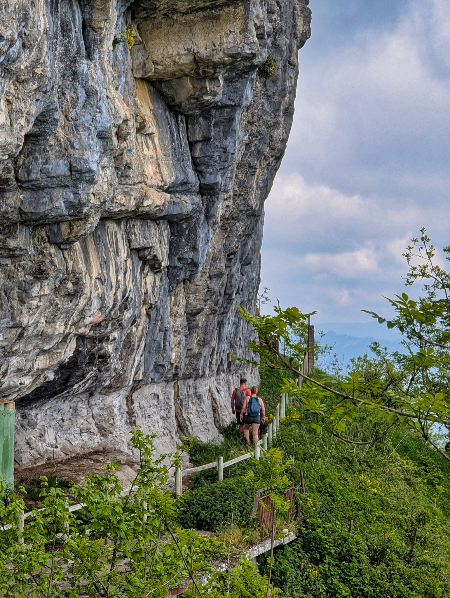 PXL 20250508 094322165