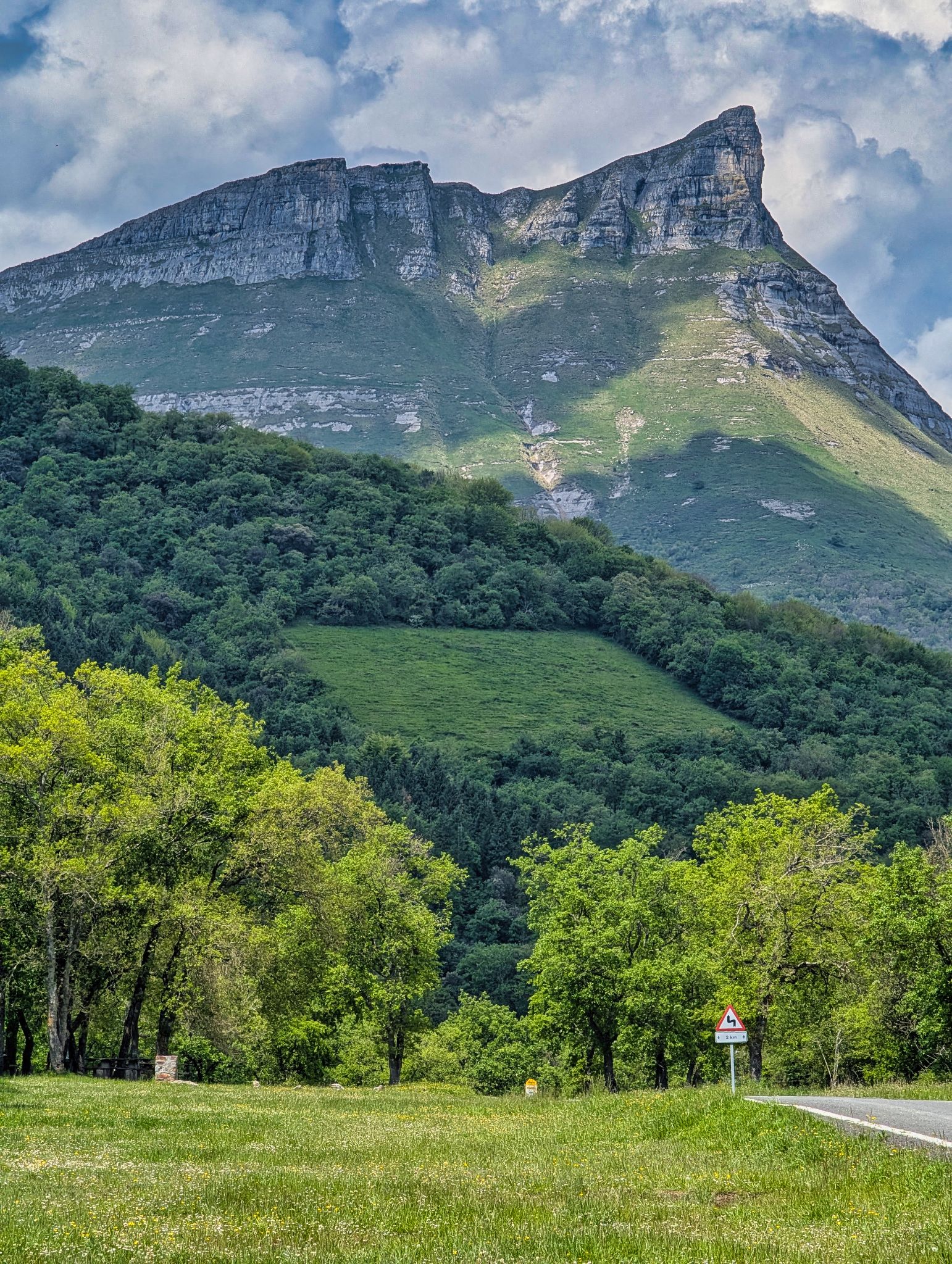 PXL 20250508 113018149