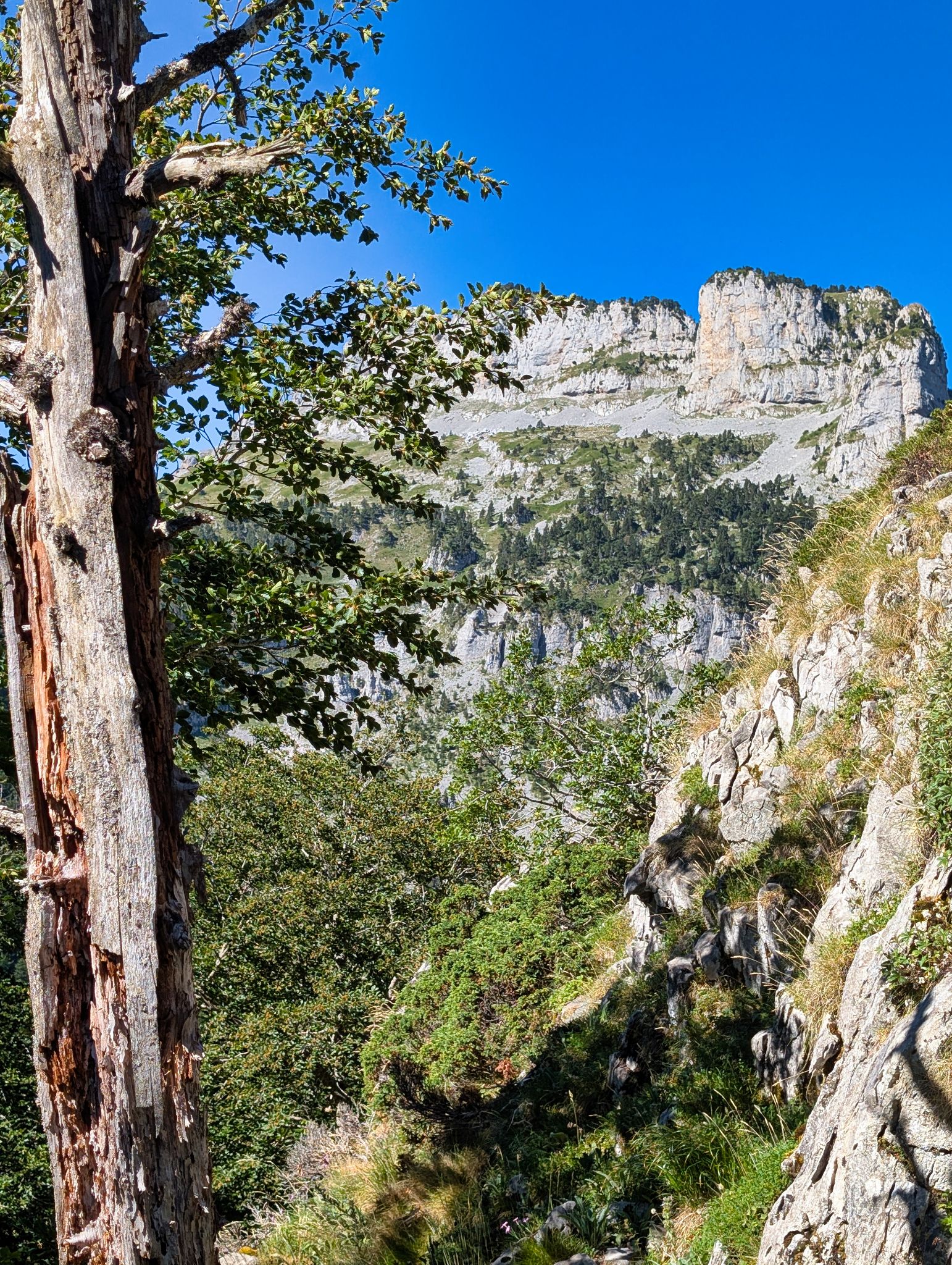 PXL 20250709 083715861