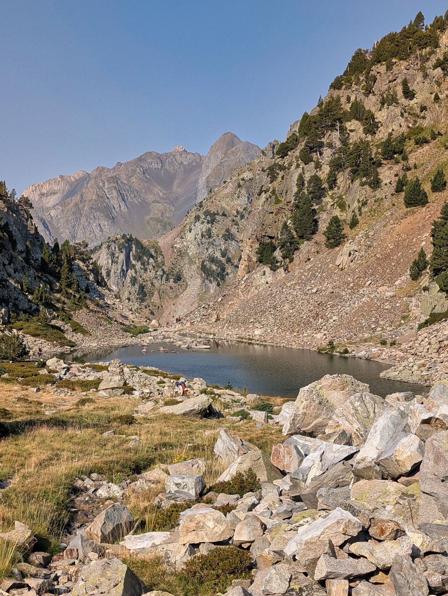 PXL 20250815 080956066