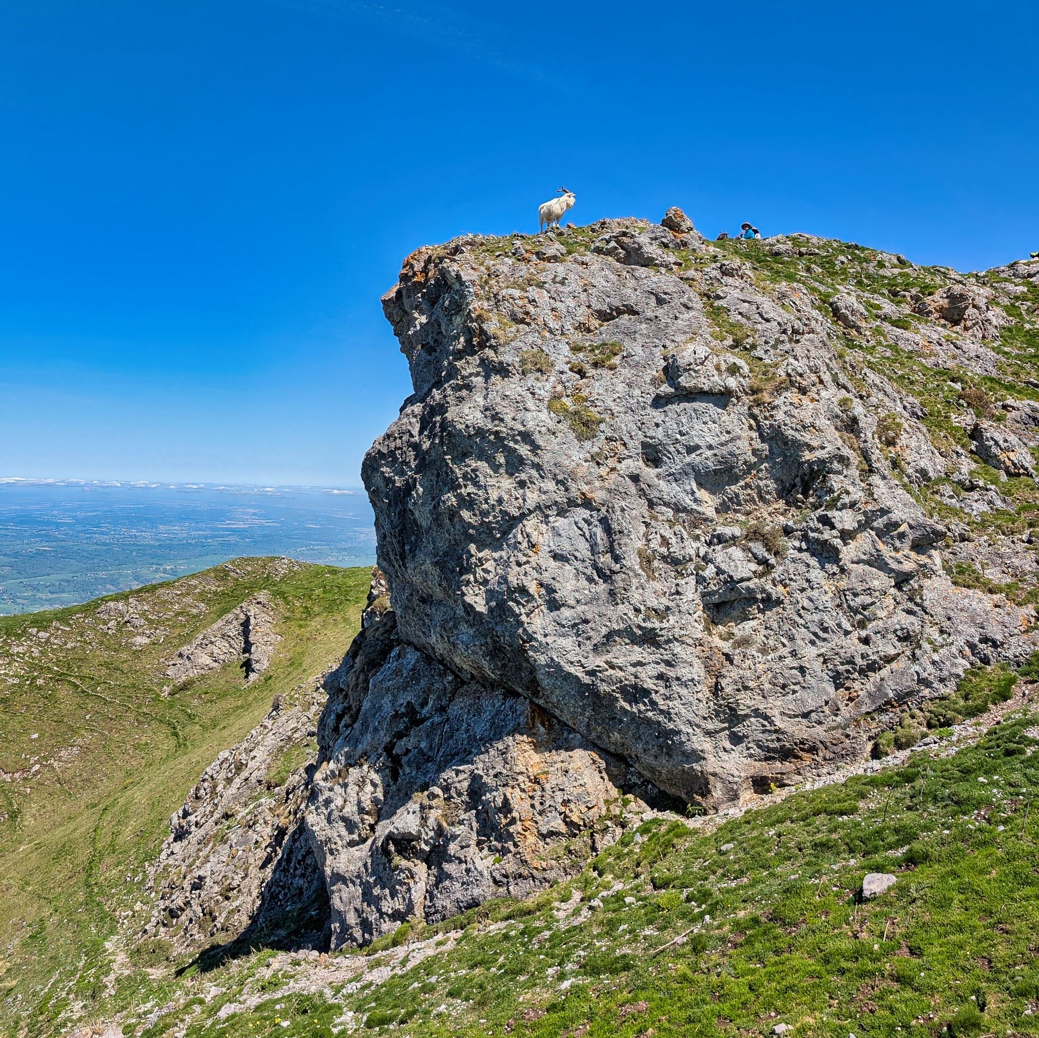 PXL 20250425 105510810