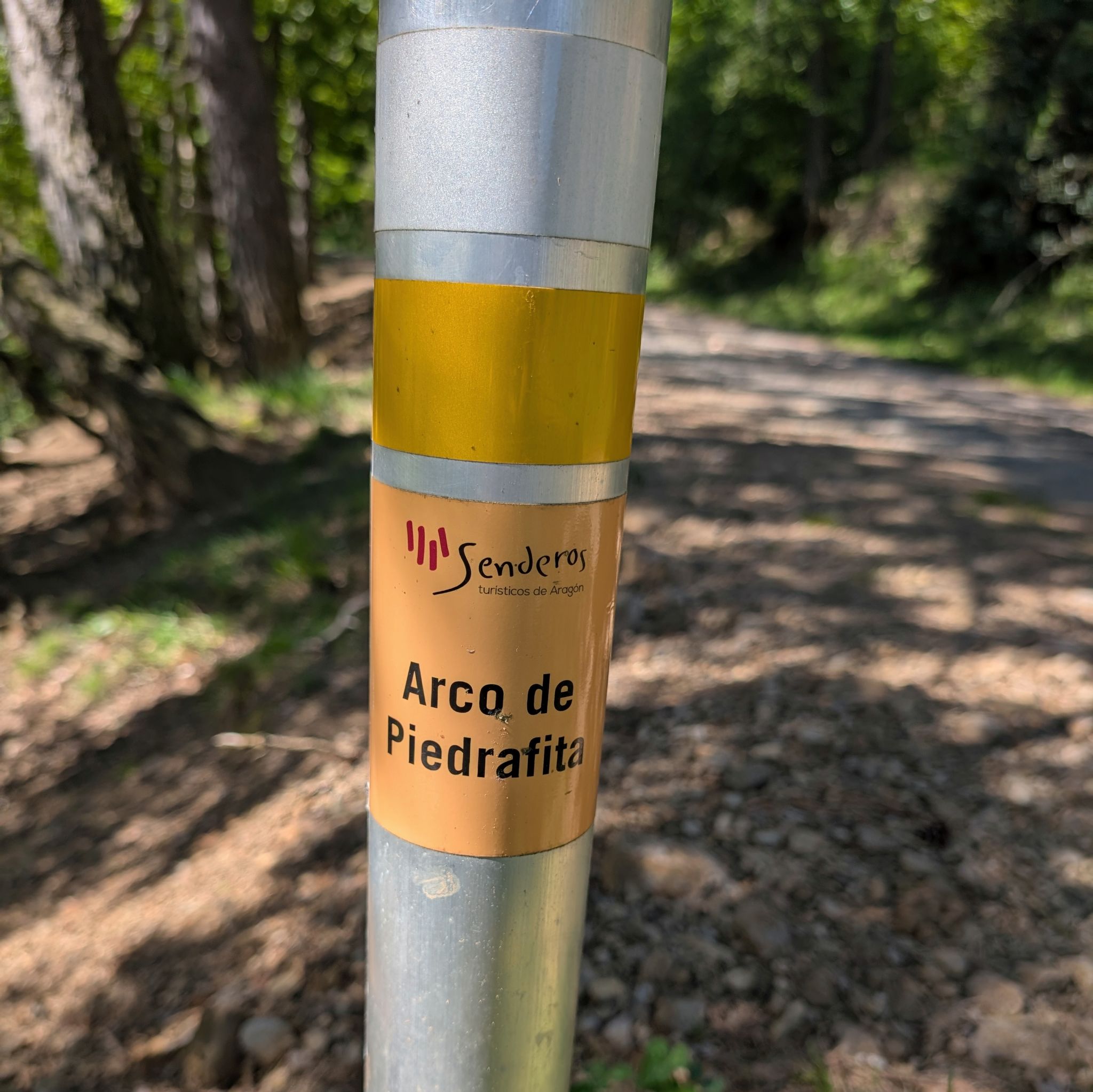 PXL 20250517 084330909