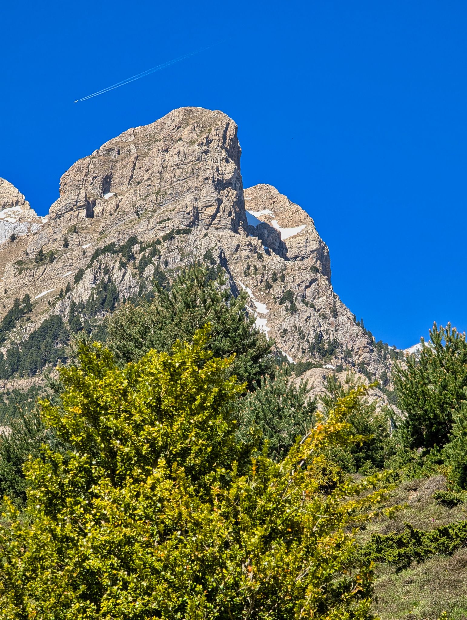 PXL 20250517 091153281