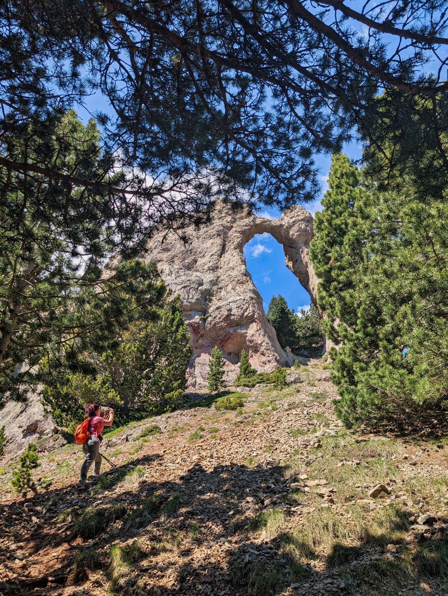 PXL 20250517 100319385