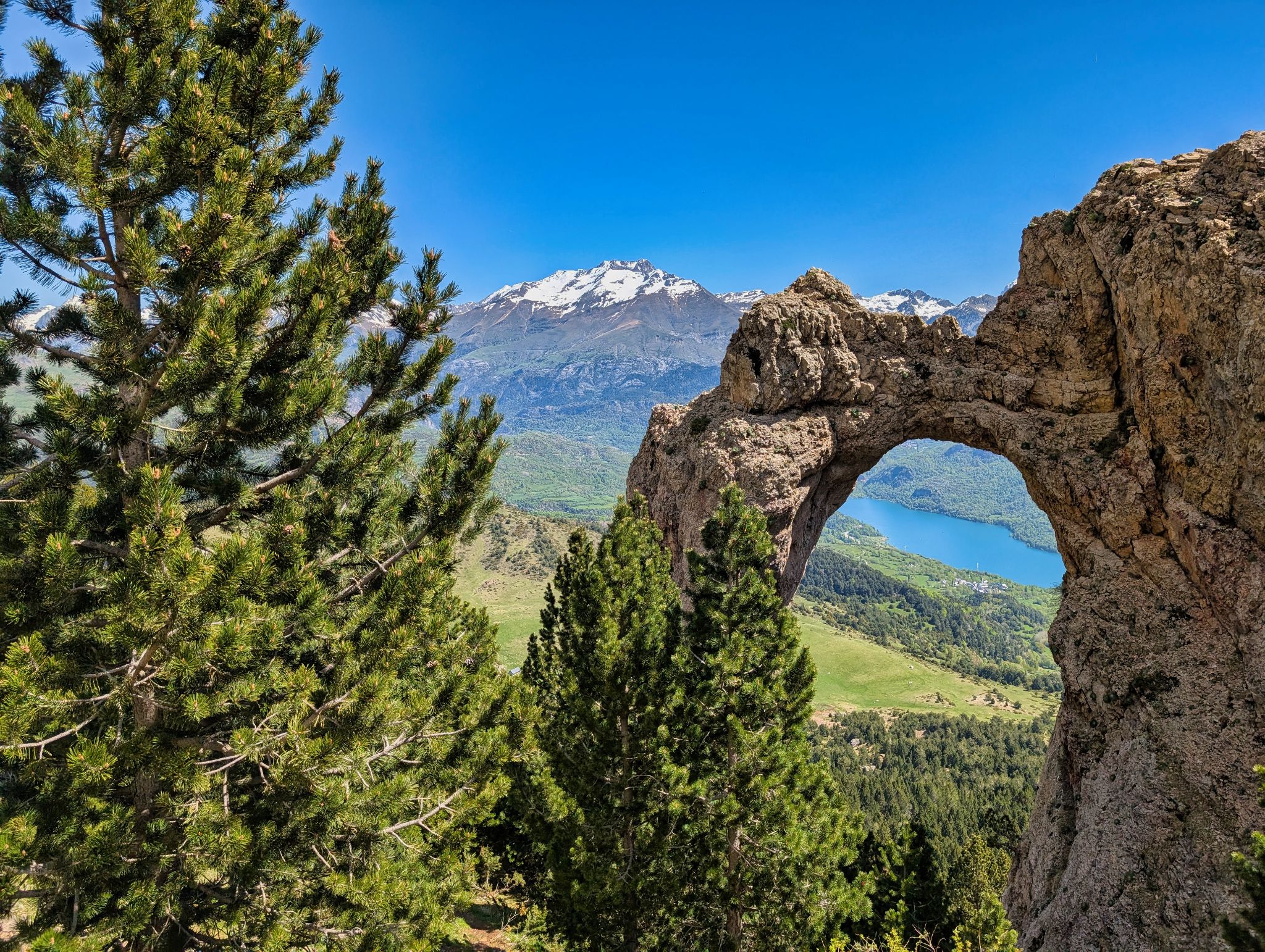 PXL 20250517 101023769