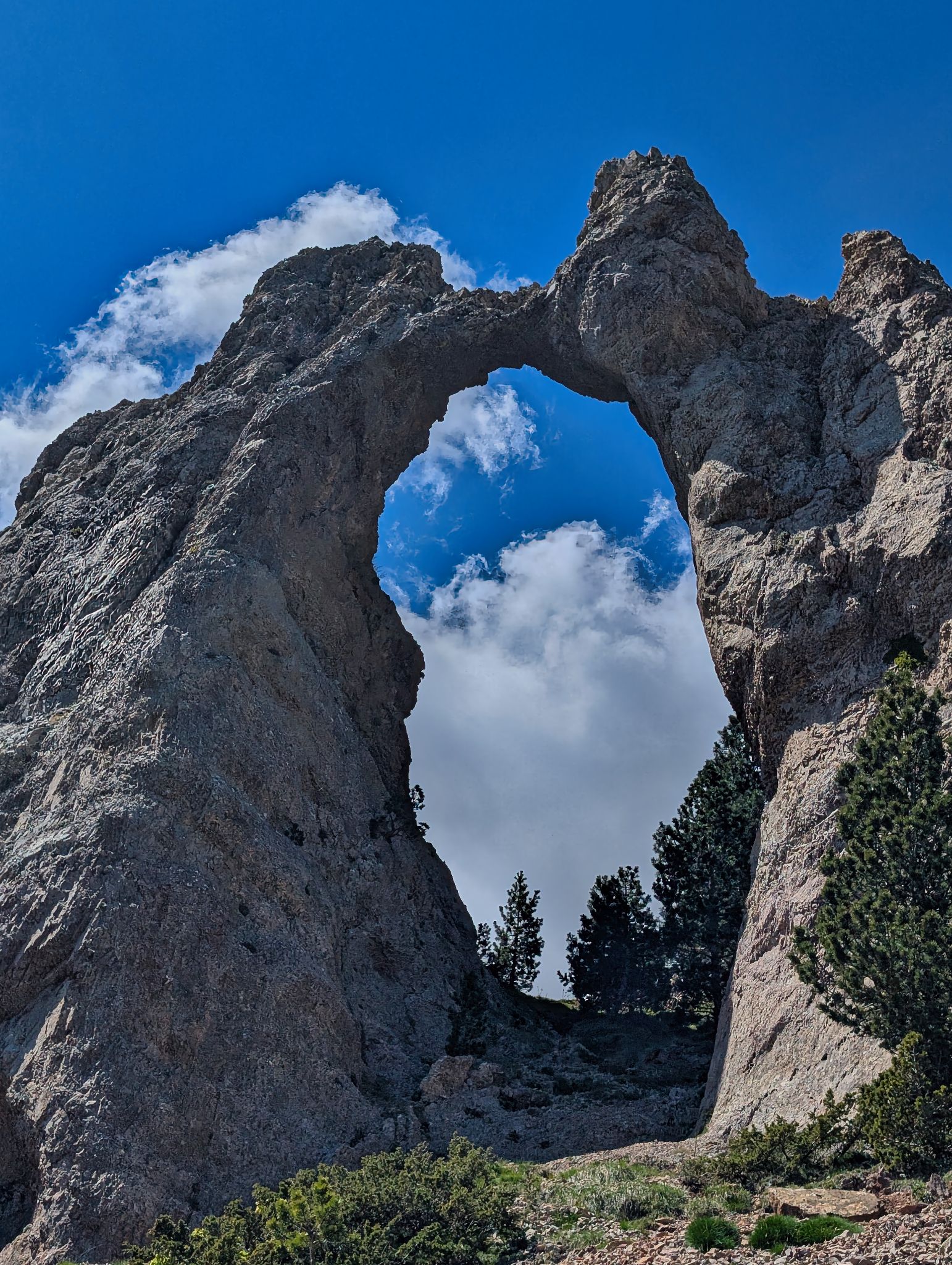 PXL 20250517 103919034.MP