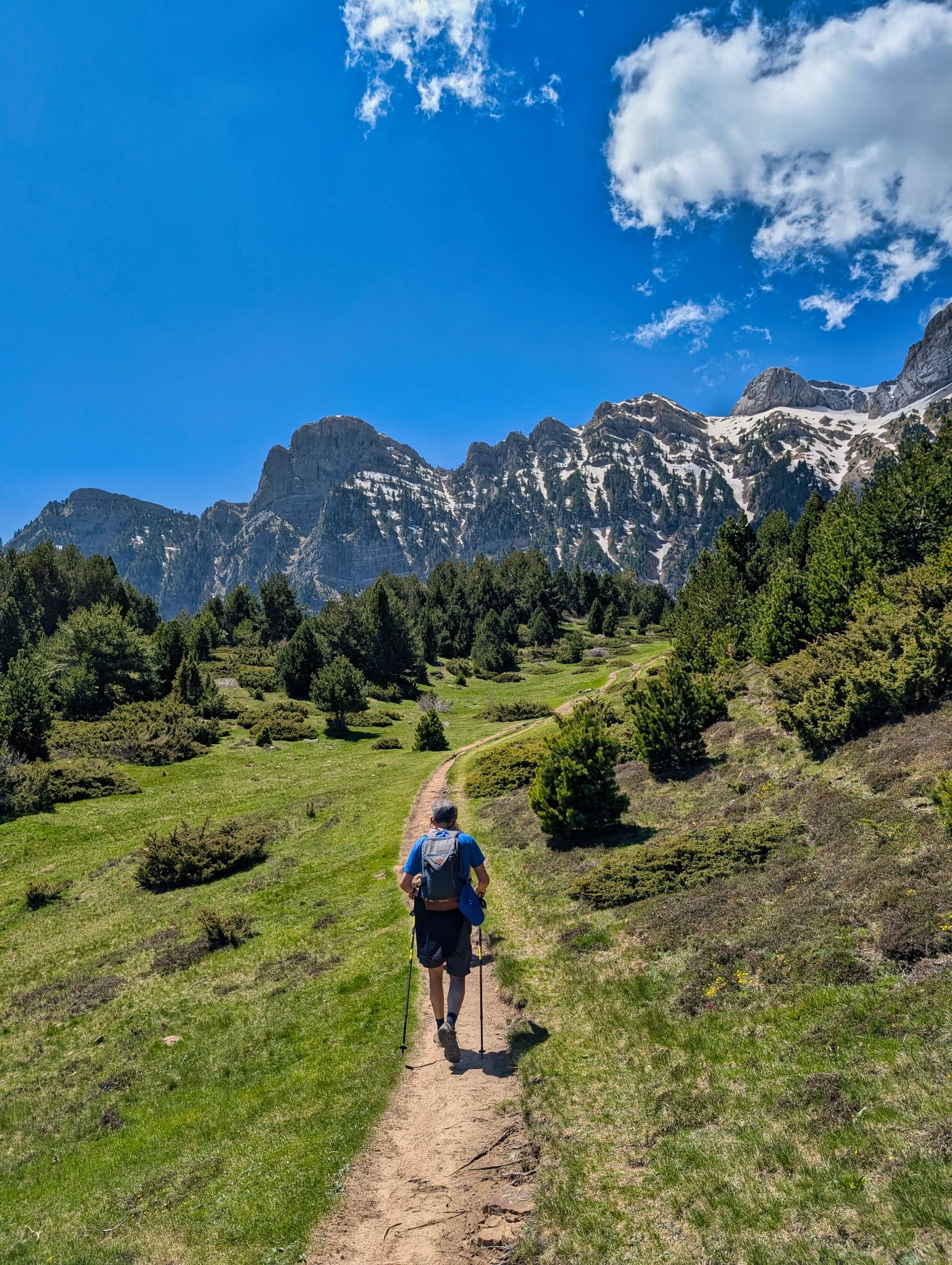 PXL 20250517 110008616.MP