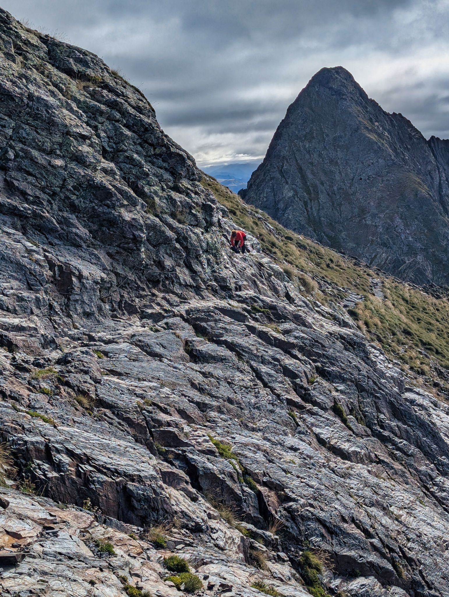 PXL 20250830 074723754