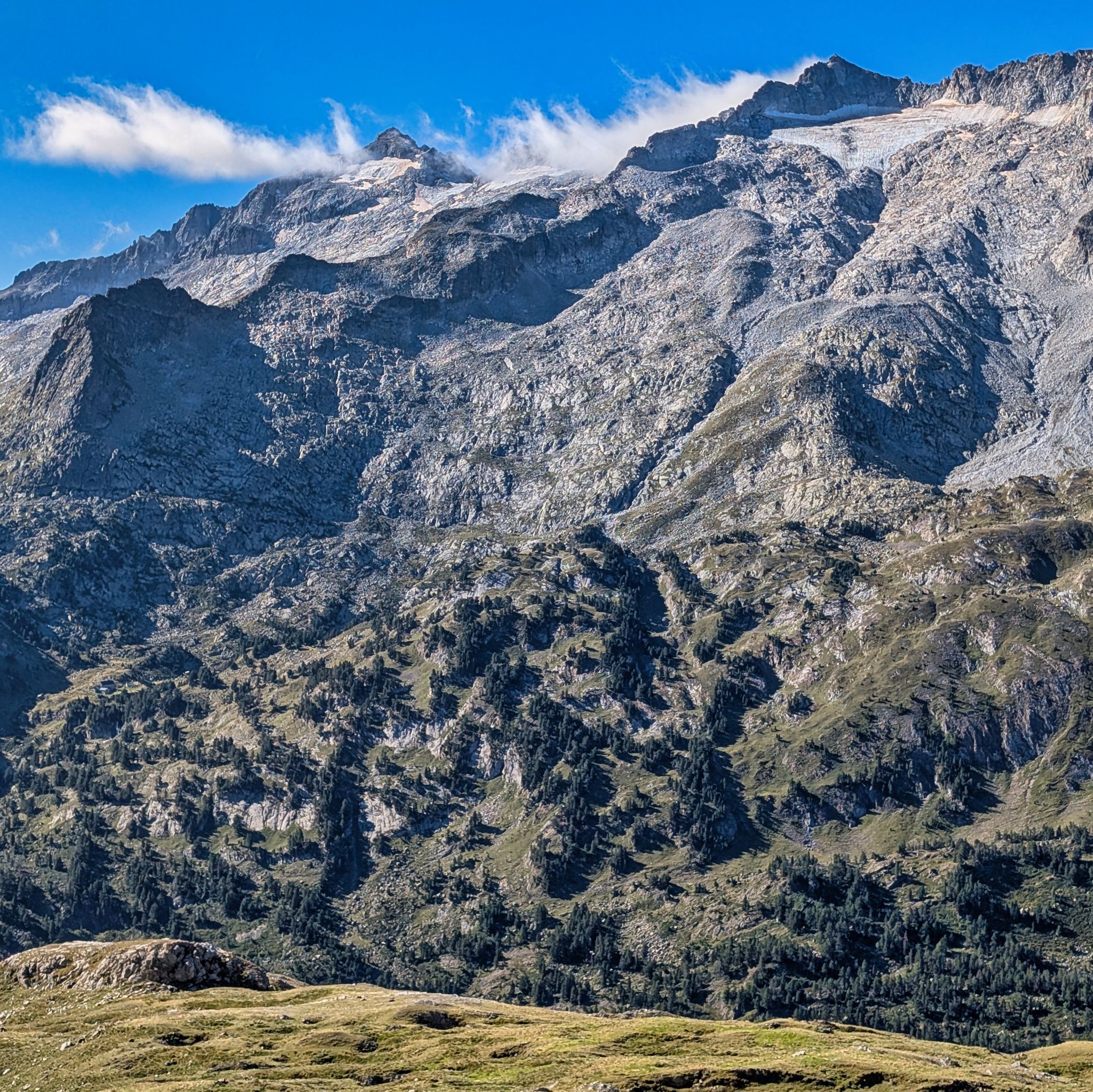 PXL 20250830 082536041