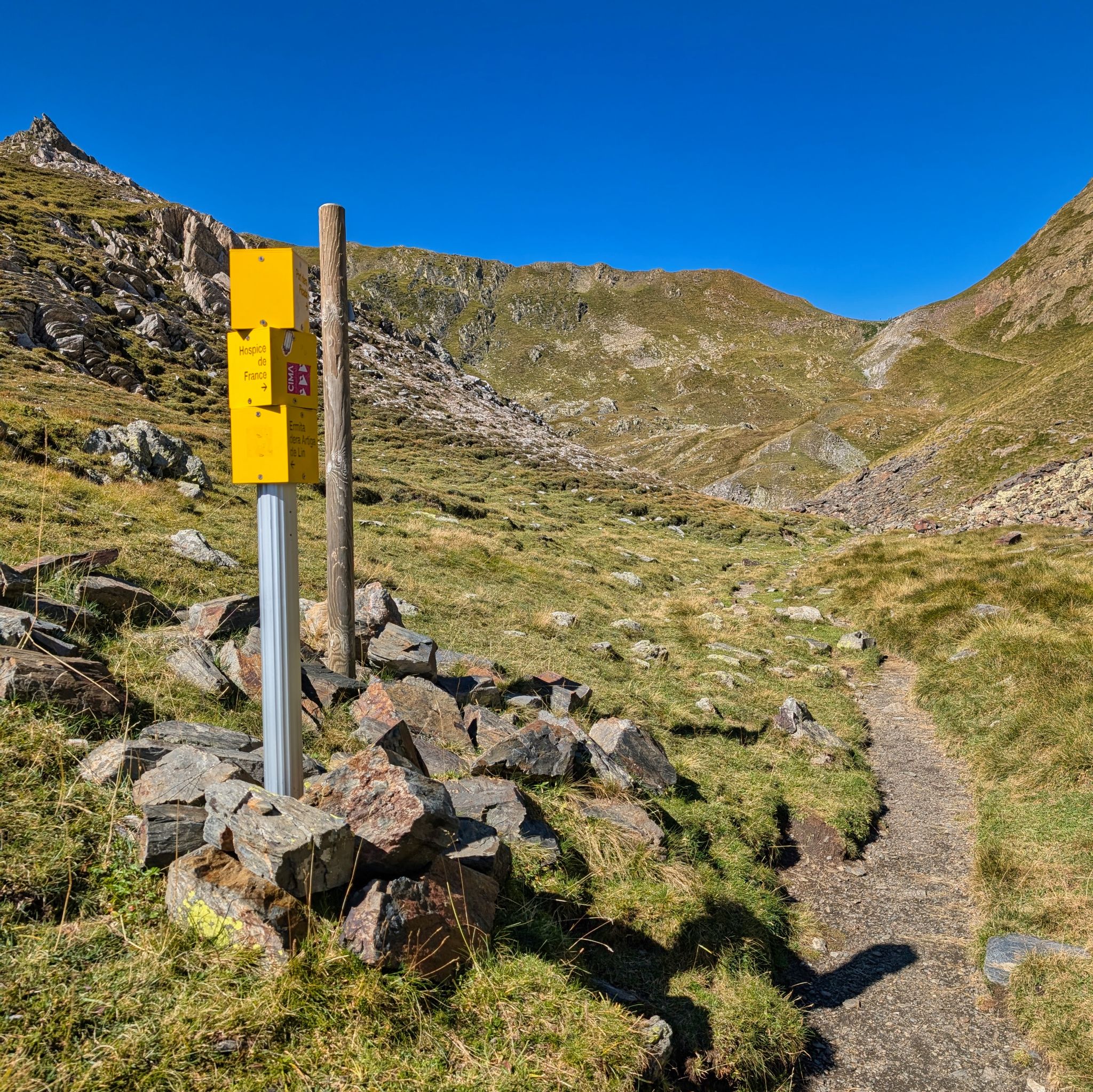 PXL 20250830 093027217