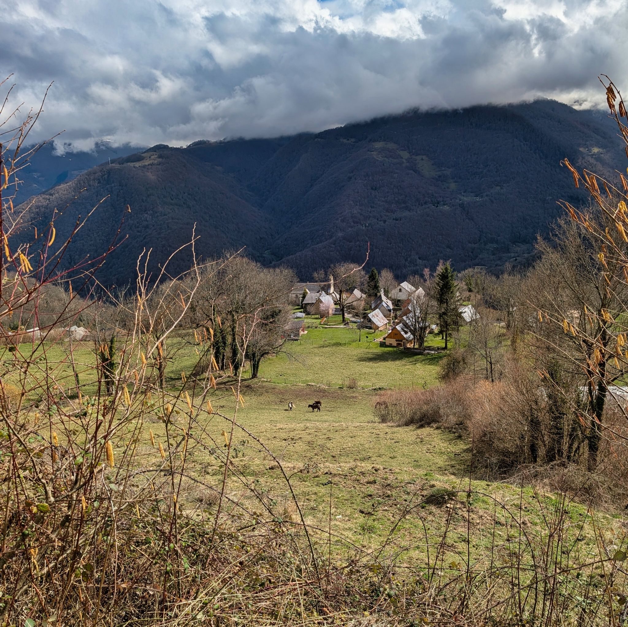 PXL 20260308 121906048