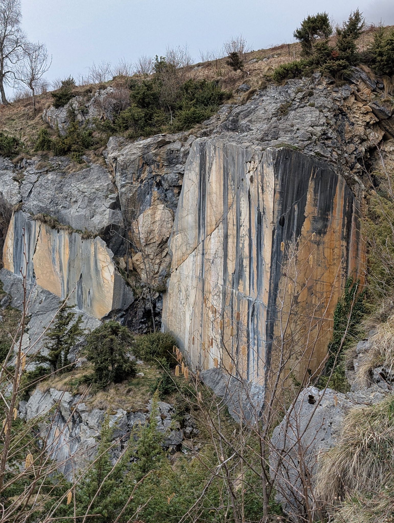 PXL 20260308 151127523