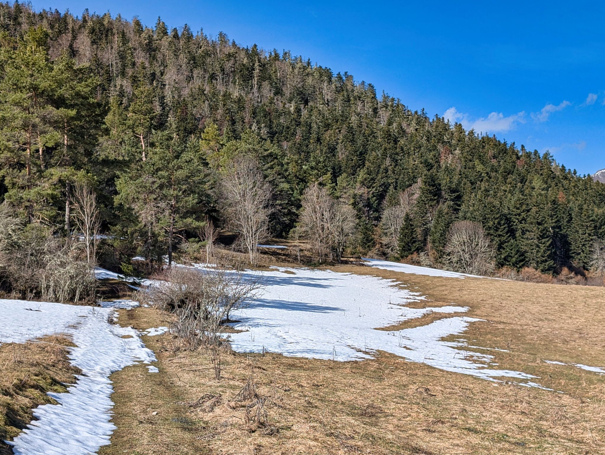 PXL 20260309 094652947