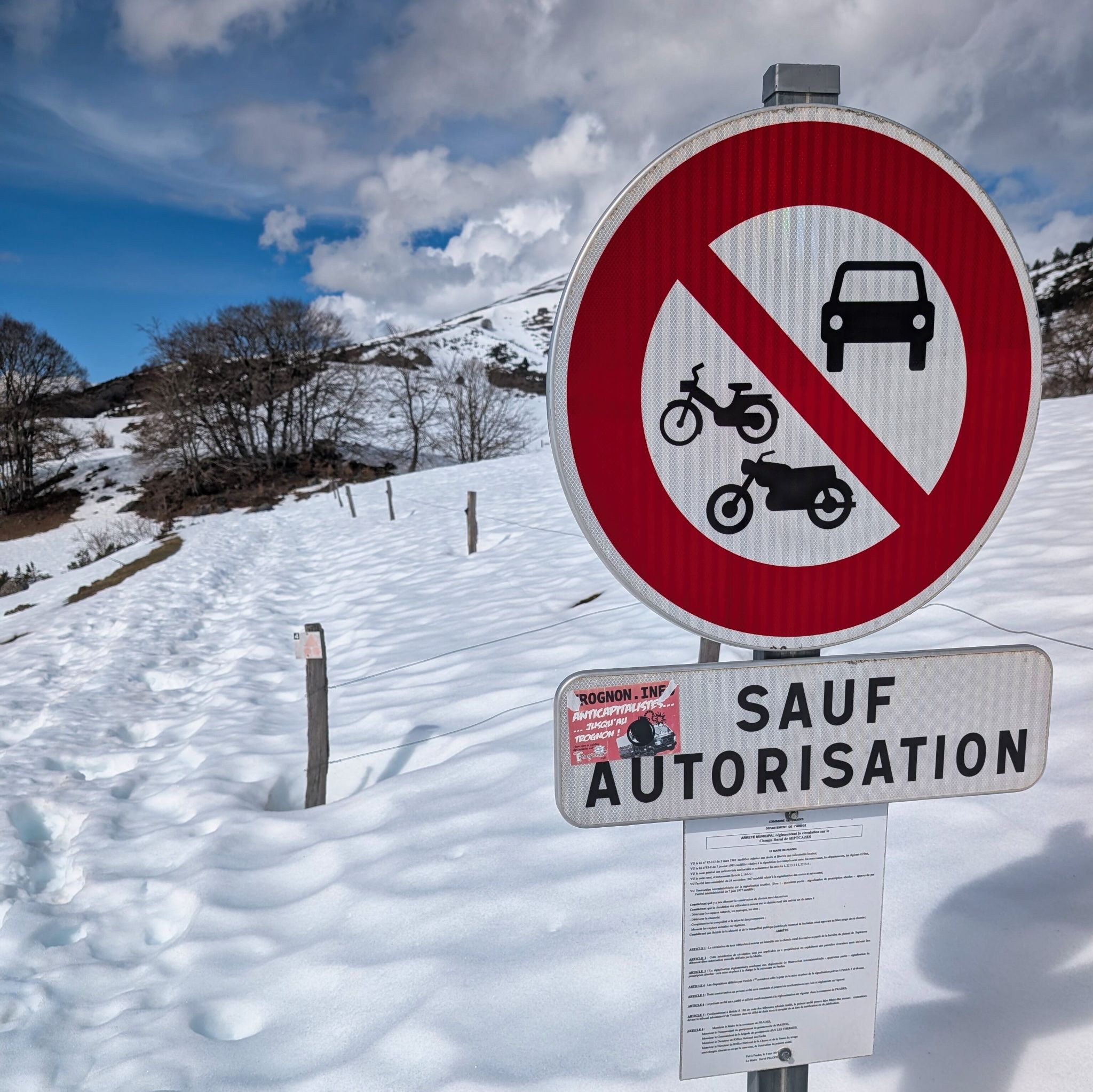 PXL 20260309 111929159