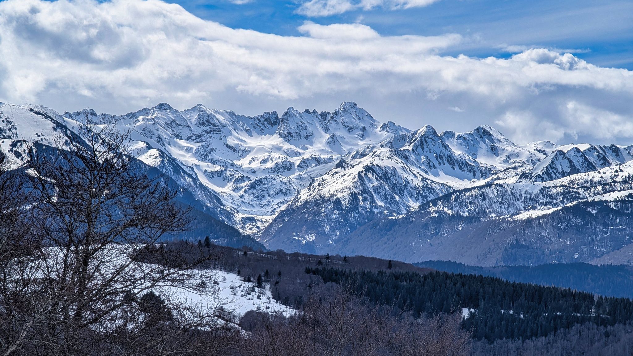 PXL 20260309 120548798