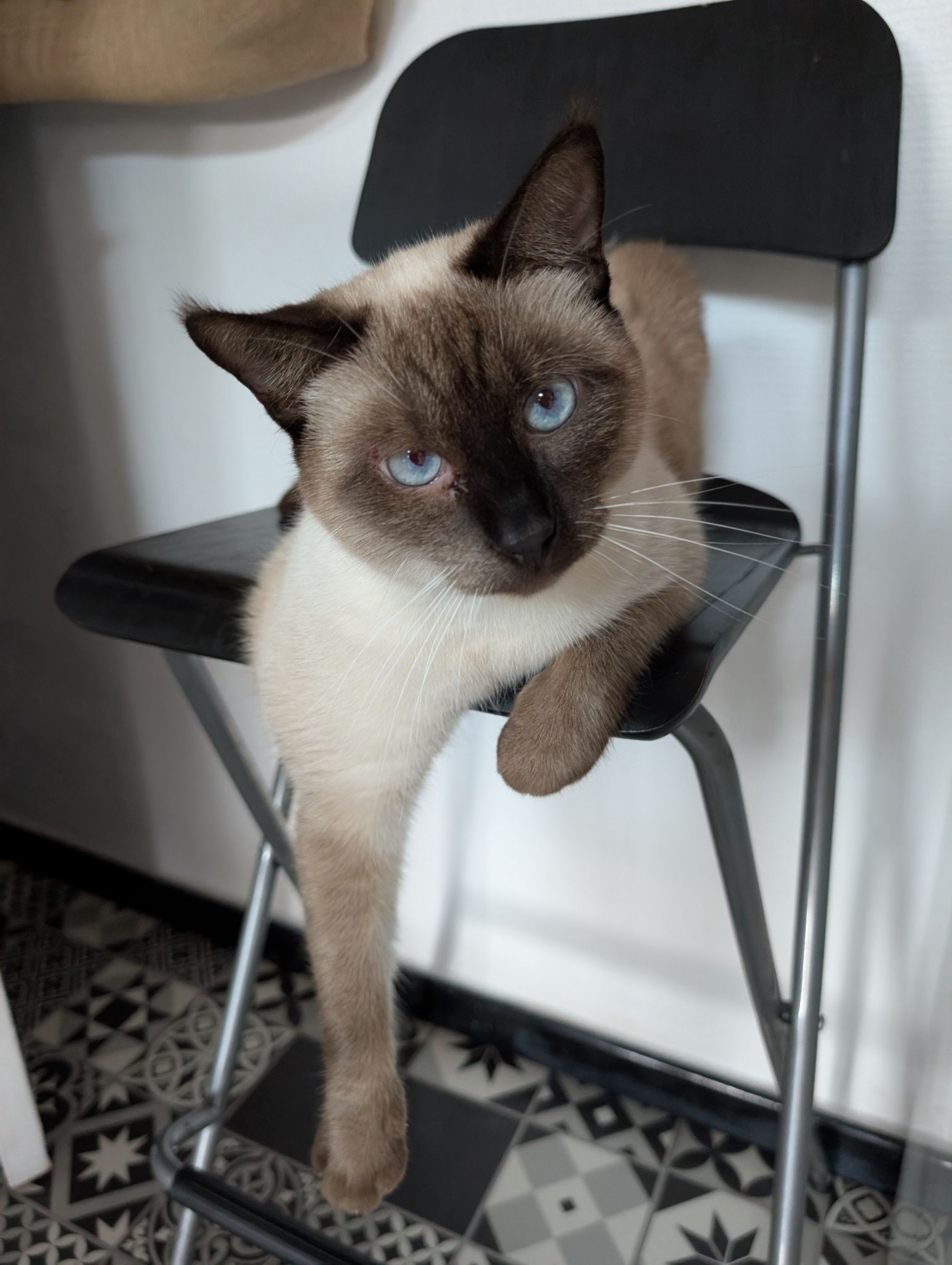 PXL 20251023 114705898