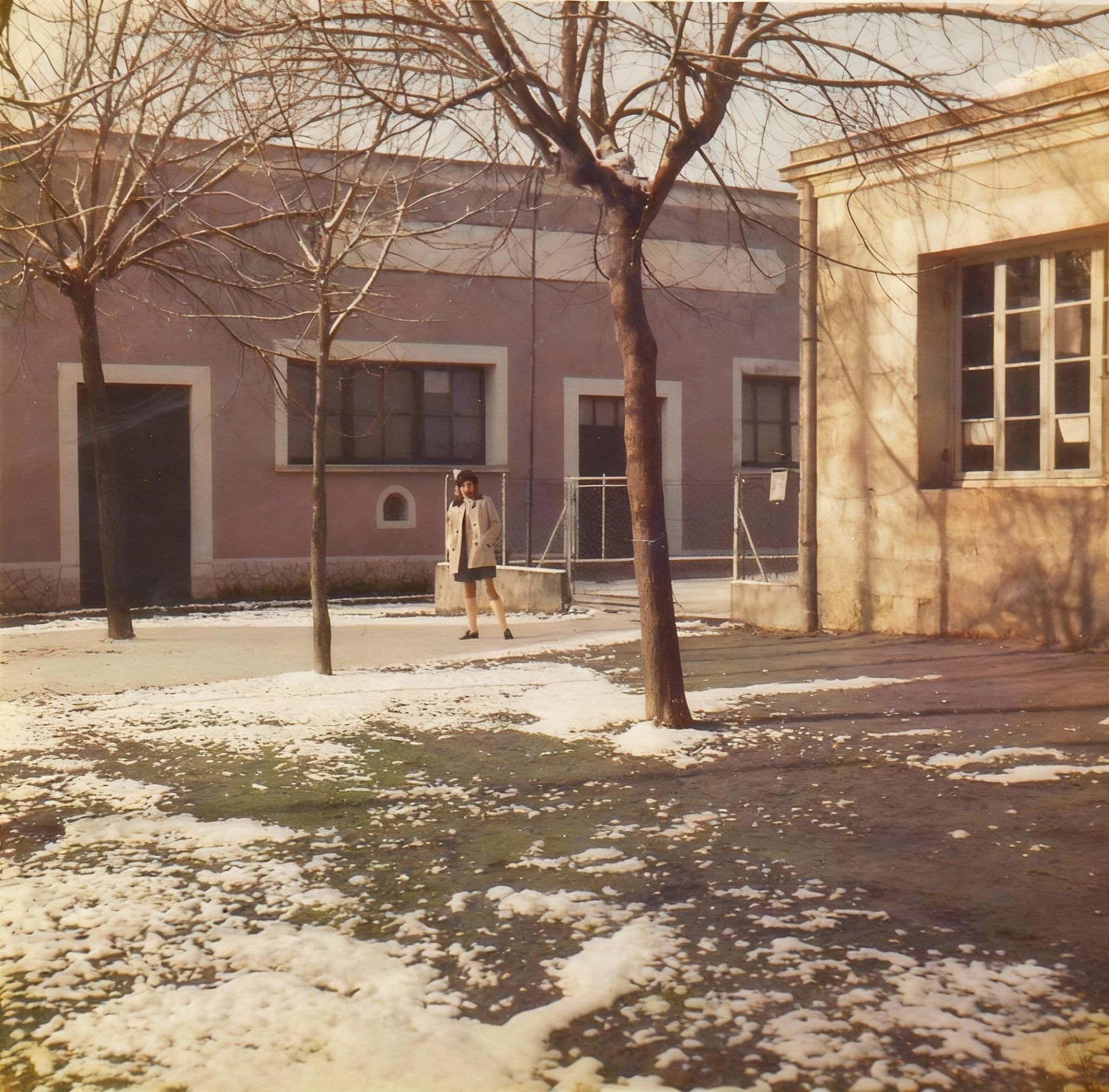 Vero 1969 2 Restored