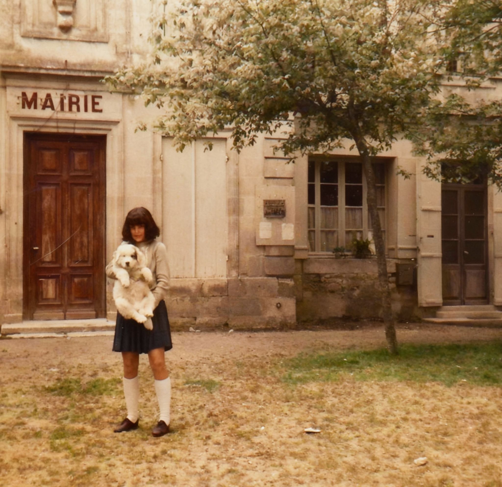 Vero baloo 1969 Restored