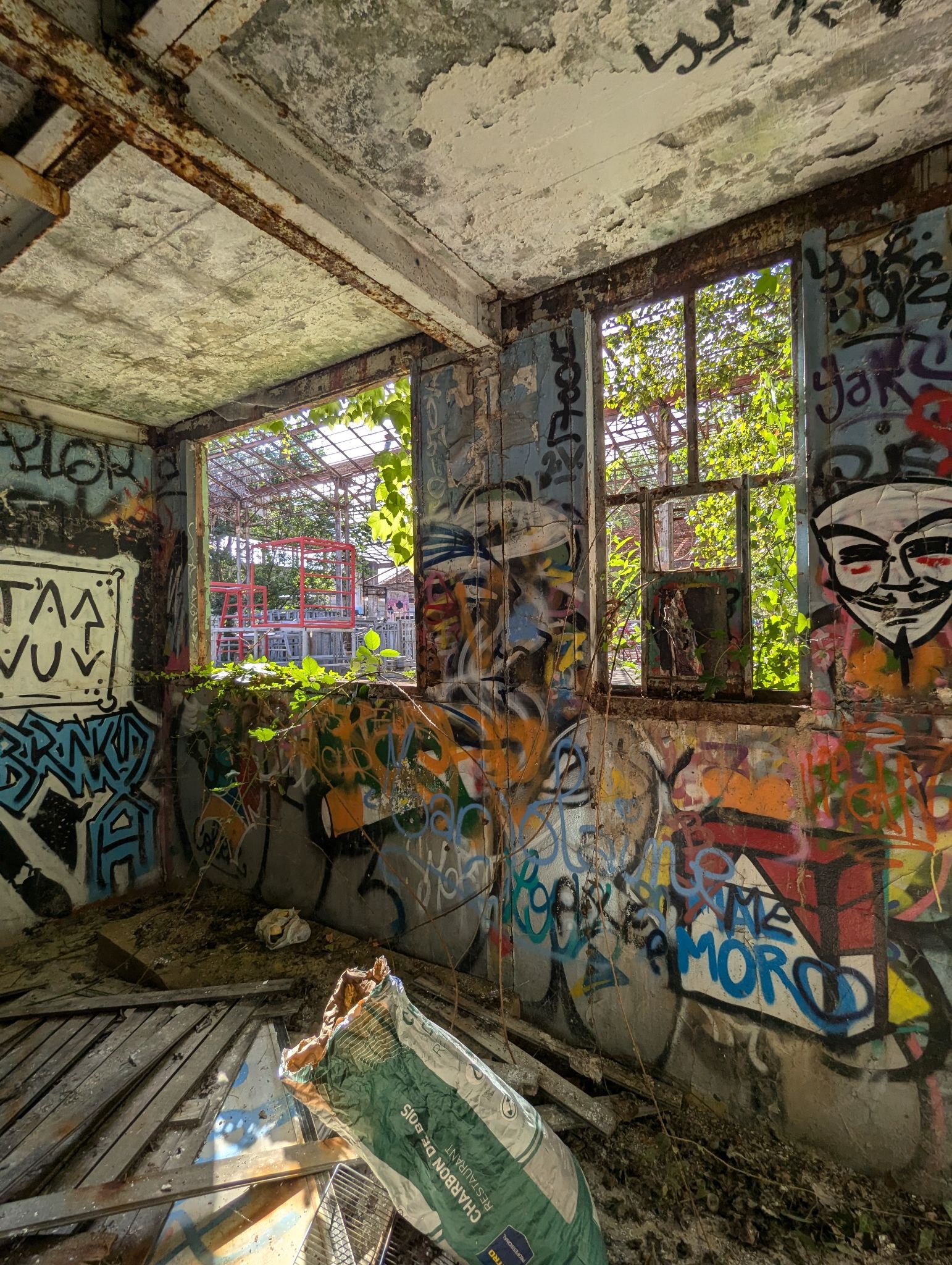 PXL 20240815 153836131