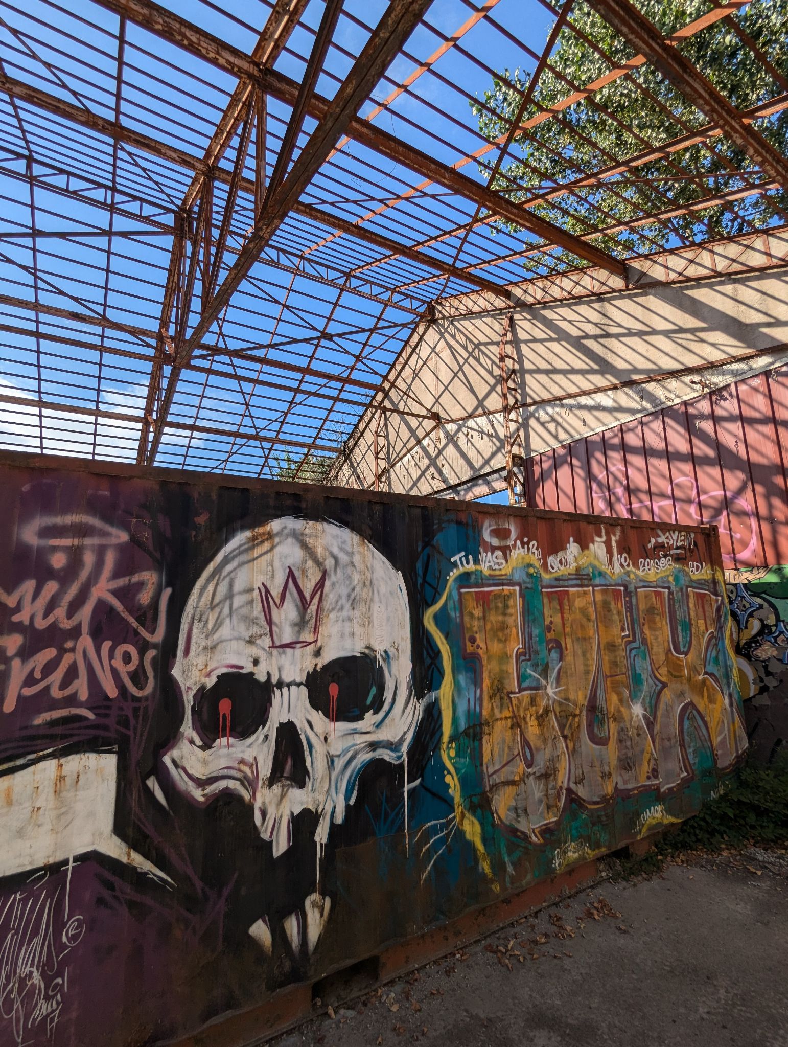 PXL 20240815 154247517