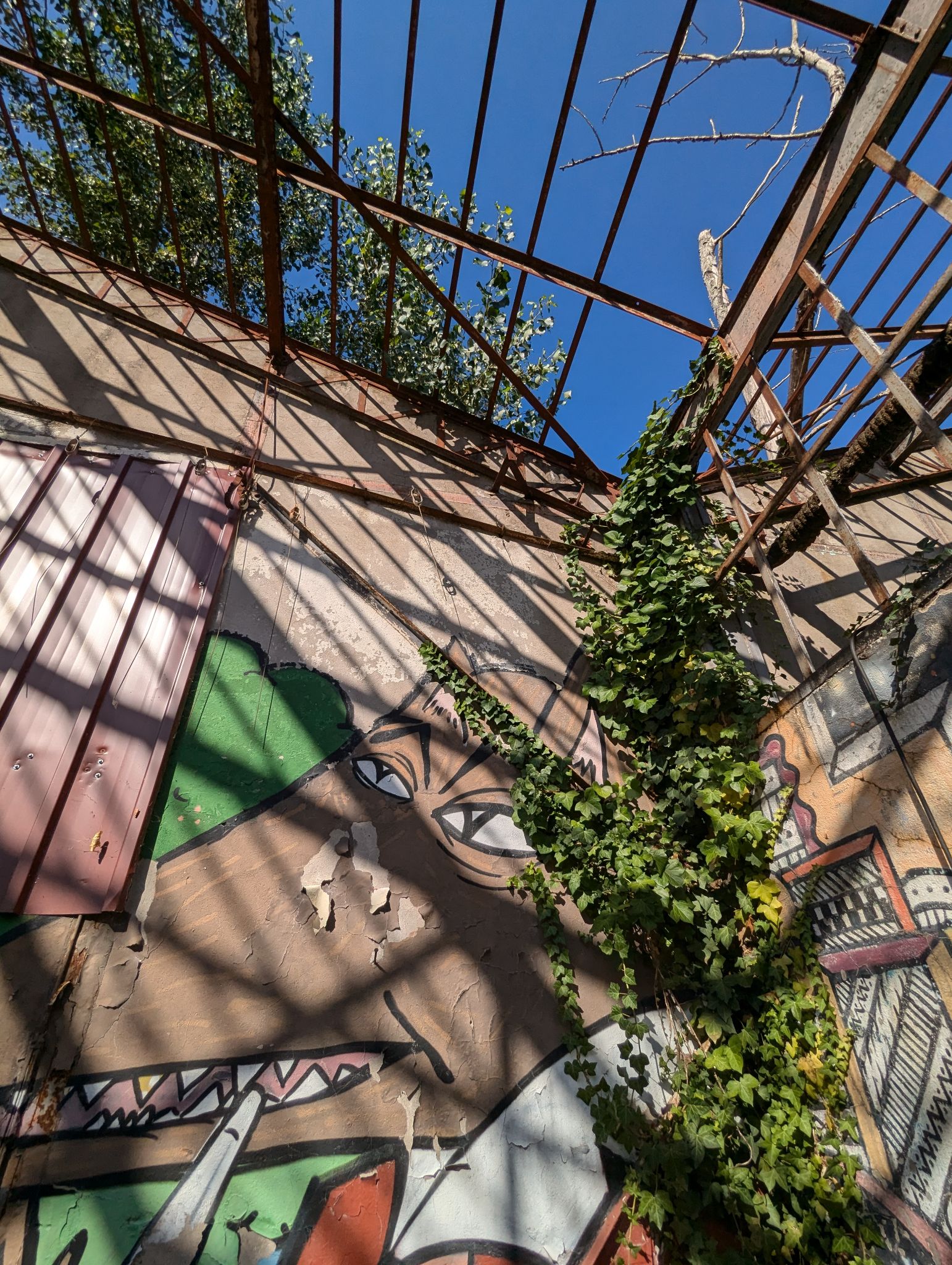 PXL 20240815 154255599